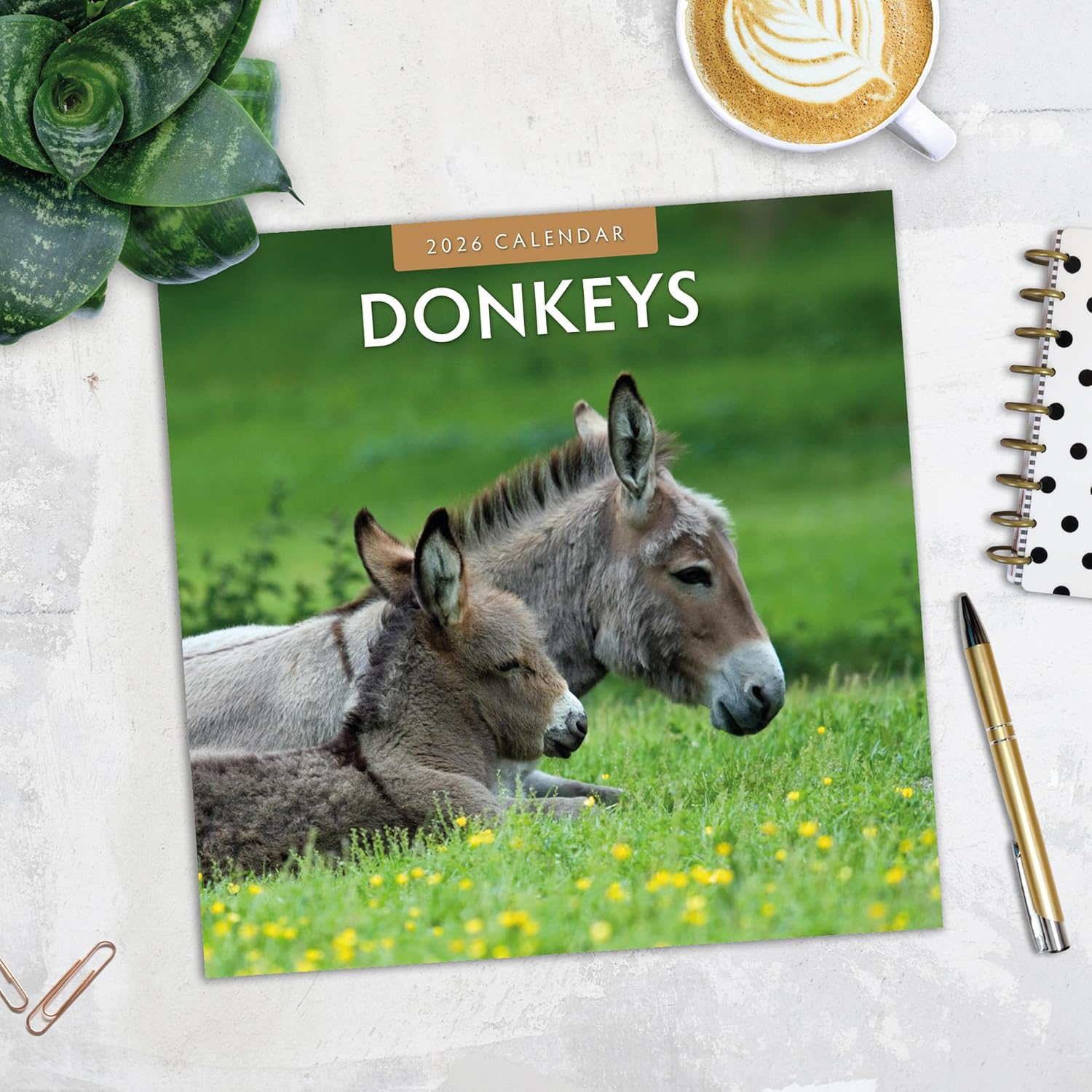 Red Robin 2026 Donkeys Monthly Wall Calendar | 12" x 24" Open | Premium Thick & Sturdy Paper | Hangable 12 Month Calendar | Lined Notes & To Do Area | Vivid Images | Plastic Free