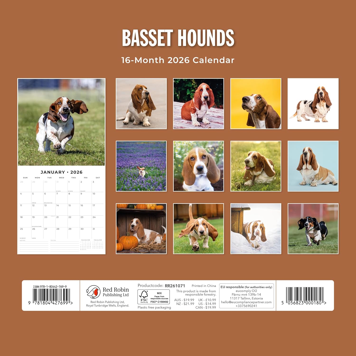 Red Robin 2026 Basset Hounds Monthly Wall Calendar | 12" x 24" Open | Premium Thick & Sturdy Paper | Hangable 12 Month Calendar | Lined Notes & To Do Area | Vivid Images | Plastic Free