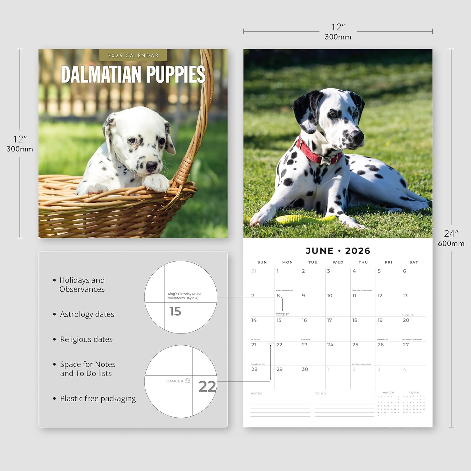 Red Robin 2026 Dalmatian Puppies Monthly Wall Calendar | 12" x 24" Open | Premium Thick & Sturdy Paper | Hangable 12 Month Calendar | Lined Notes & To Do Area | Vivid Images | Plastic Free