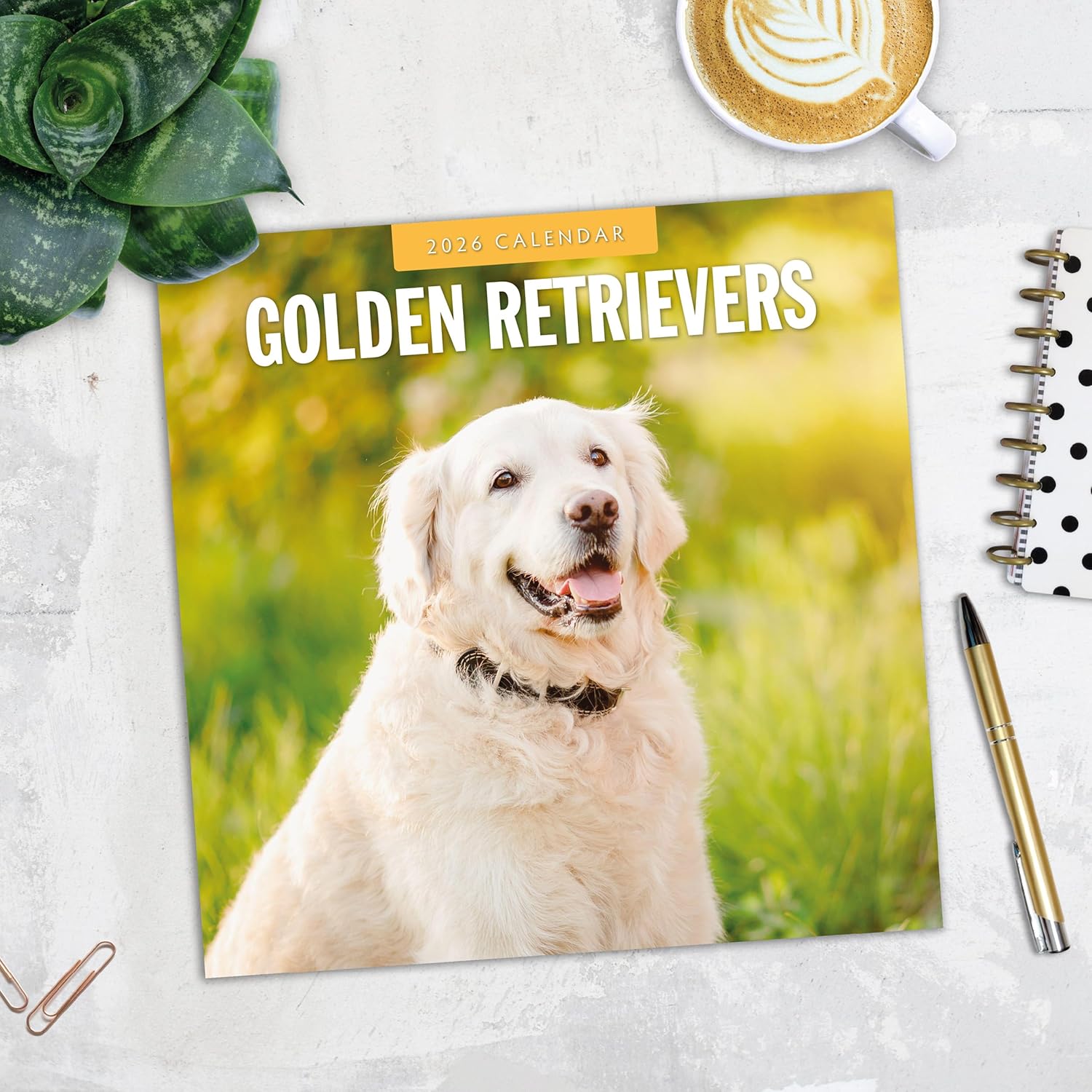 Red Robin 2026 Golden Retrievers Monthly Wall Calendar | 12" x 24" Open | Premium Thick & Sturdy Paper | Hangable 12 Month Calendar | Lined Notes & To Do Area | Vivid Images | Plastic Free