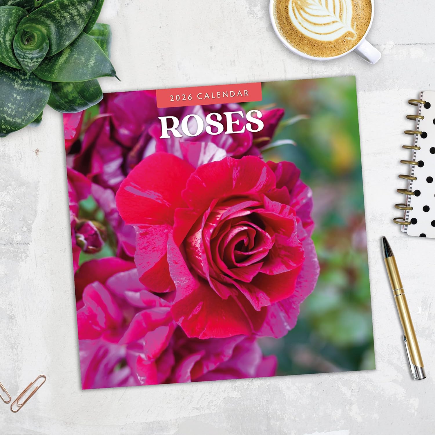 Red Robin 2026 Roses Monthly Wall Calendar | 12" x 24" Open | Premium Thick & Sturdy Paper | Hangable 12 Month Calendar | Lined Notes & To Do Area | Vivid Images | Plastic Free