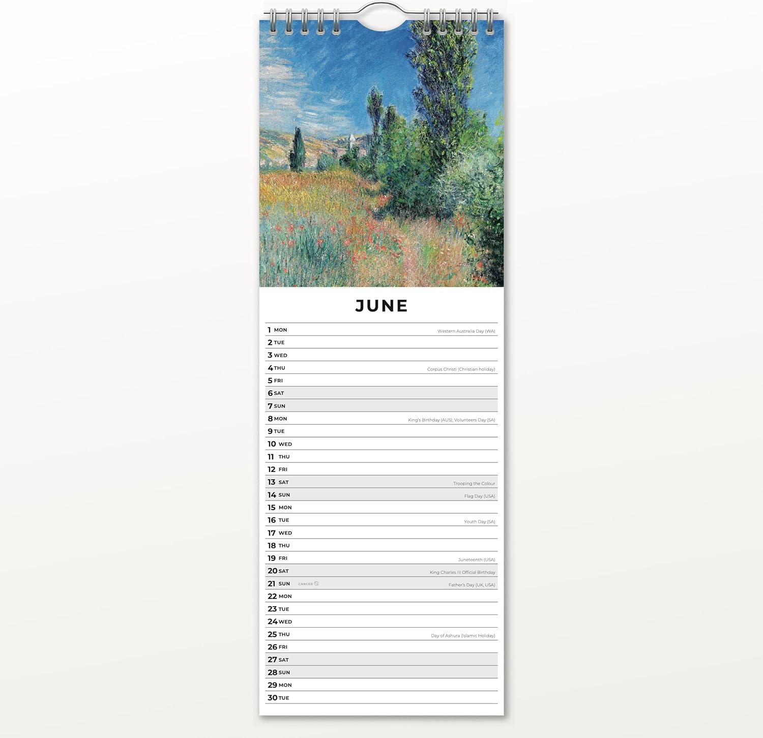 Red Robin 2026 Monet Monthly Slim Calendar | 6" x 16" Open | Premium Thick & Sturdy Paper | Tall Hangable 12 Month Calendar | Vivid Images | Plastic Free | Wire Spiral