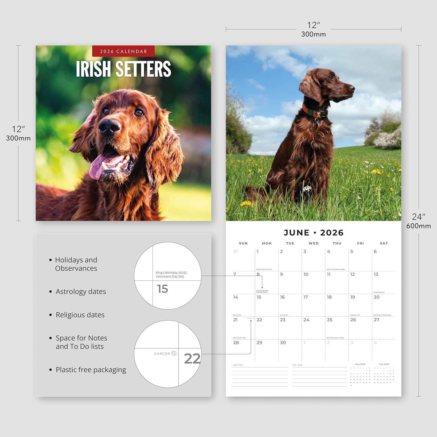 Red Robin 2026 Irish Setters Monthly Wall Calendar | 12" x 24" Open | Premium Thick & Sturdy Paper | Hangable 12 Month Calendar | Lined Notes & To Do Area | Vivid Images | Plastic Free