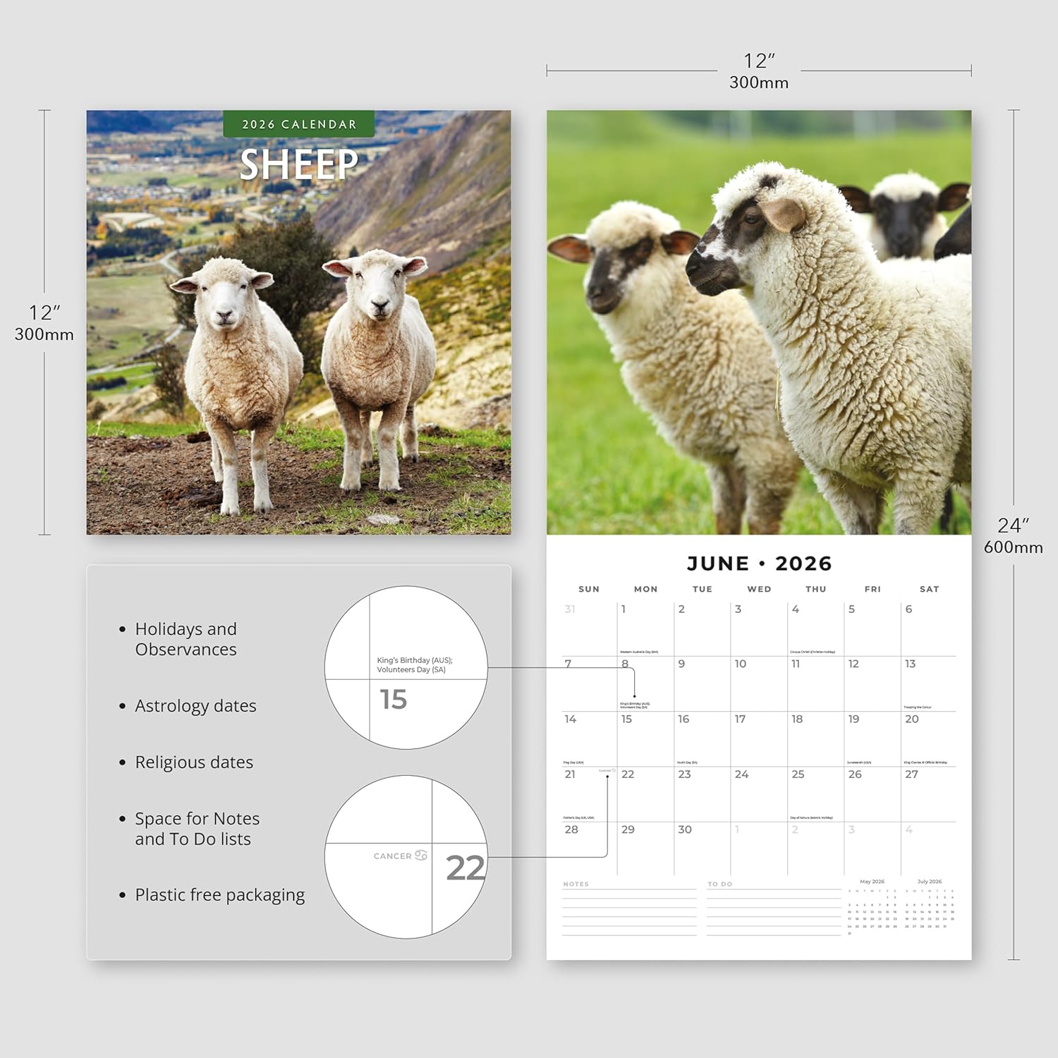 Red Robin 2026 Sheep Monthly Wall Calendar | 12" x 24" Open | Premium Thick & Sturdy Paper | Hangable 12 Month Calendar | Lined Notes & To Do Area | Vivid Images | Plastic Free