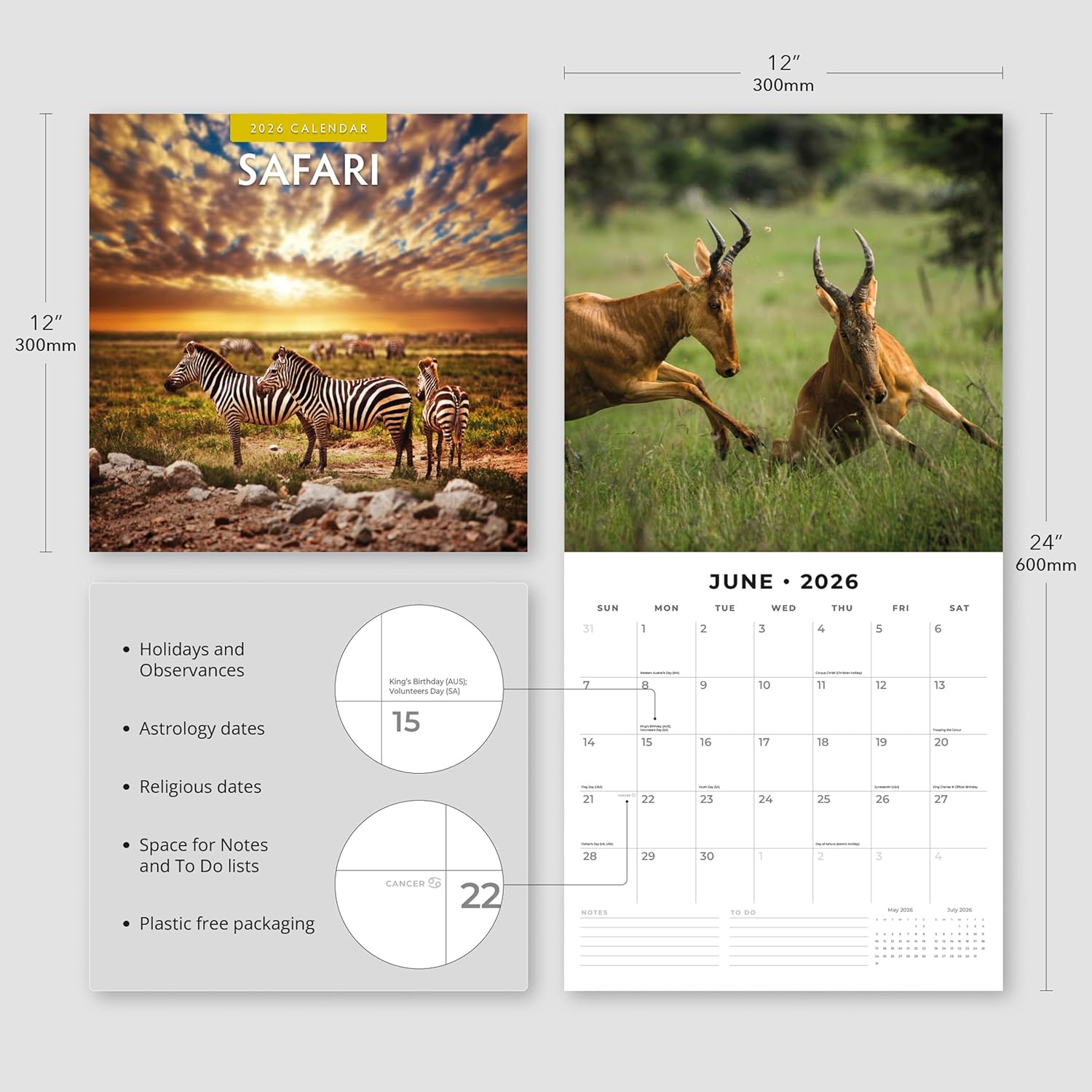 Red Robin 2026 Safari Monthly Wall Calendar | 12" x 24" Open | Premium Thick & Sturdy Paper | Hangable 12 Month Calendar | Lined Notes & To Do Area | Vivid Images | Plastic Free