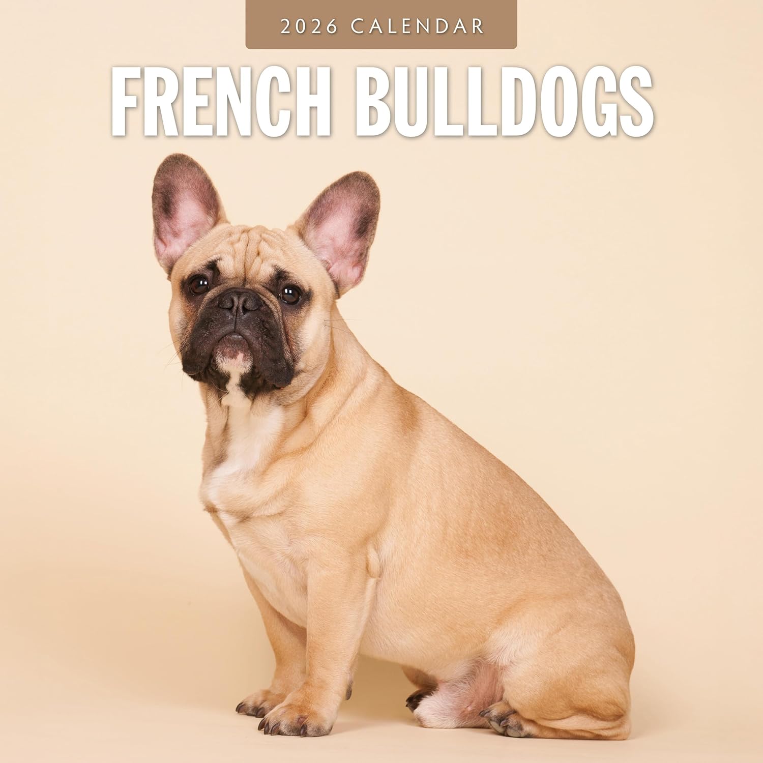 Red Robin 2026 French Bulldogs Monthly Wall Calendar | 12" x 24" Open | Premium Thick & Sturdy Paper | Hangable 12 Month Calendar | Lined Notes & To Do Area | Vivid Images | Plastic Free