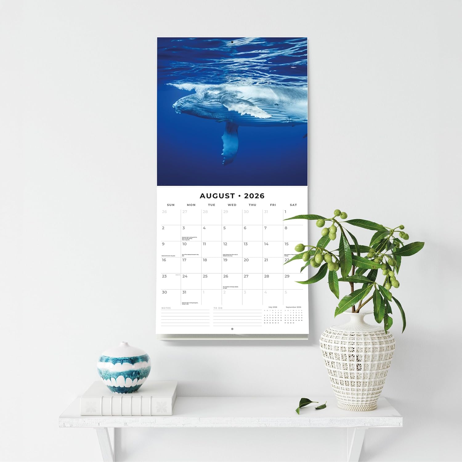 Red Robin 2026 Whales Monthly Wall Calendar | 12" x 24" Open | Premium Thick & Sturdy Paper | Hangable 12 Month Calendar | Lined Notes & To Do Area | Vivid Images | Plastic Free