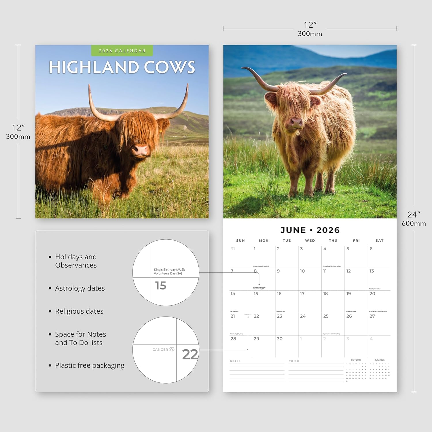 Red Robin 2026 Highland Cows Monthly Wall Calendar | 12" x 24" Open | Premium Thick & Sturdy Paper | Hangable 12 Month Calendar | Lined Notes & To Do Area | Vivid Images | Plastic Free