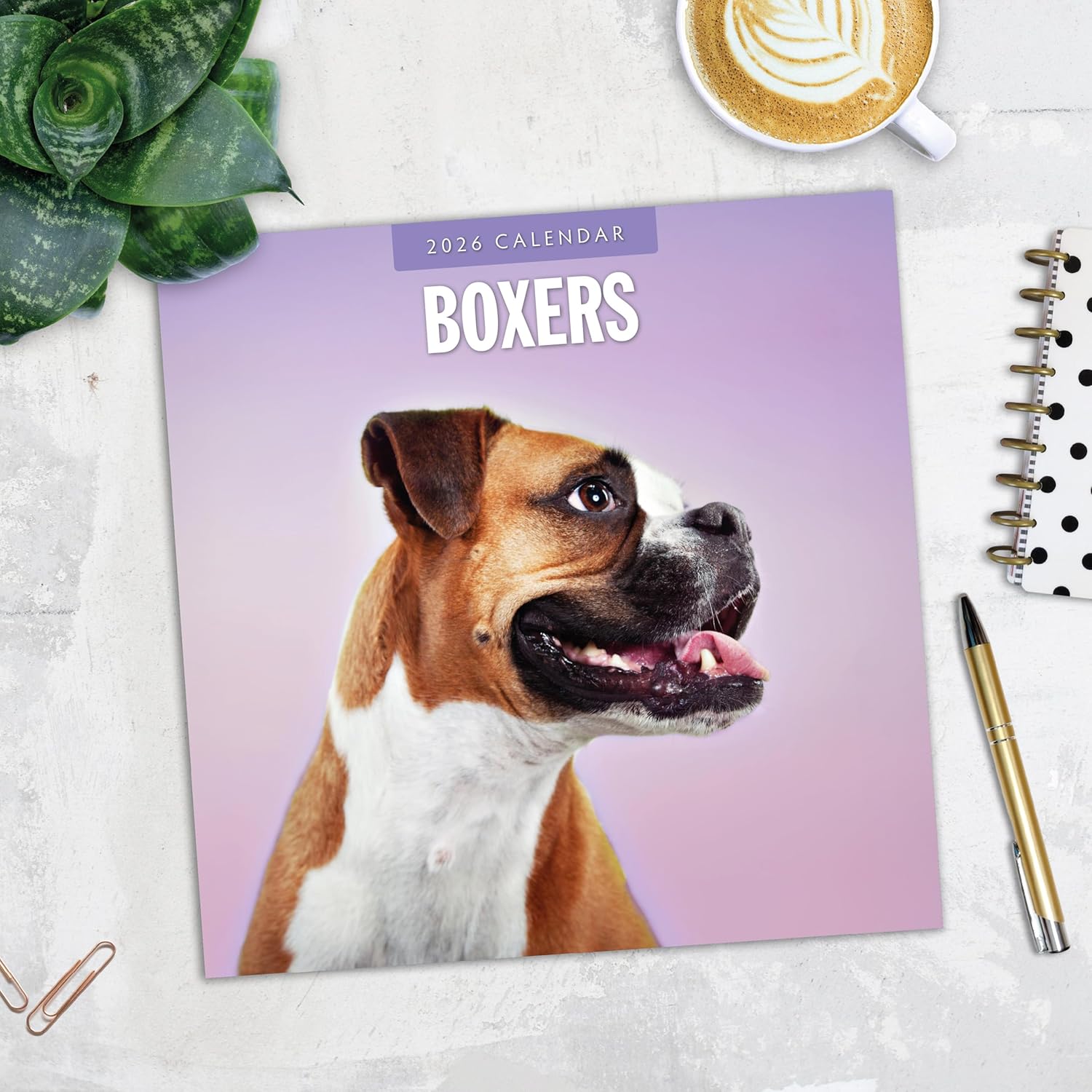 Red Robin 2026 Boxers Monthly Wall Calendar | 12" x 24" Open | Premium Thick & Sturdy Paper | Hangable 12 Month Calendar | Lined Notes & To Do Area | Vivid Images | Plastic Free
