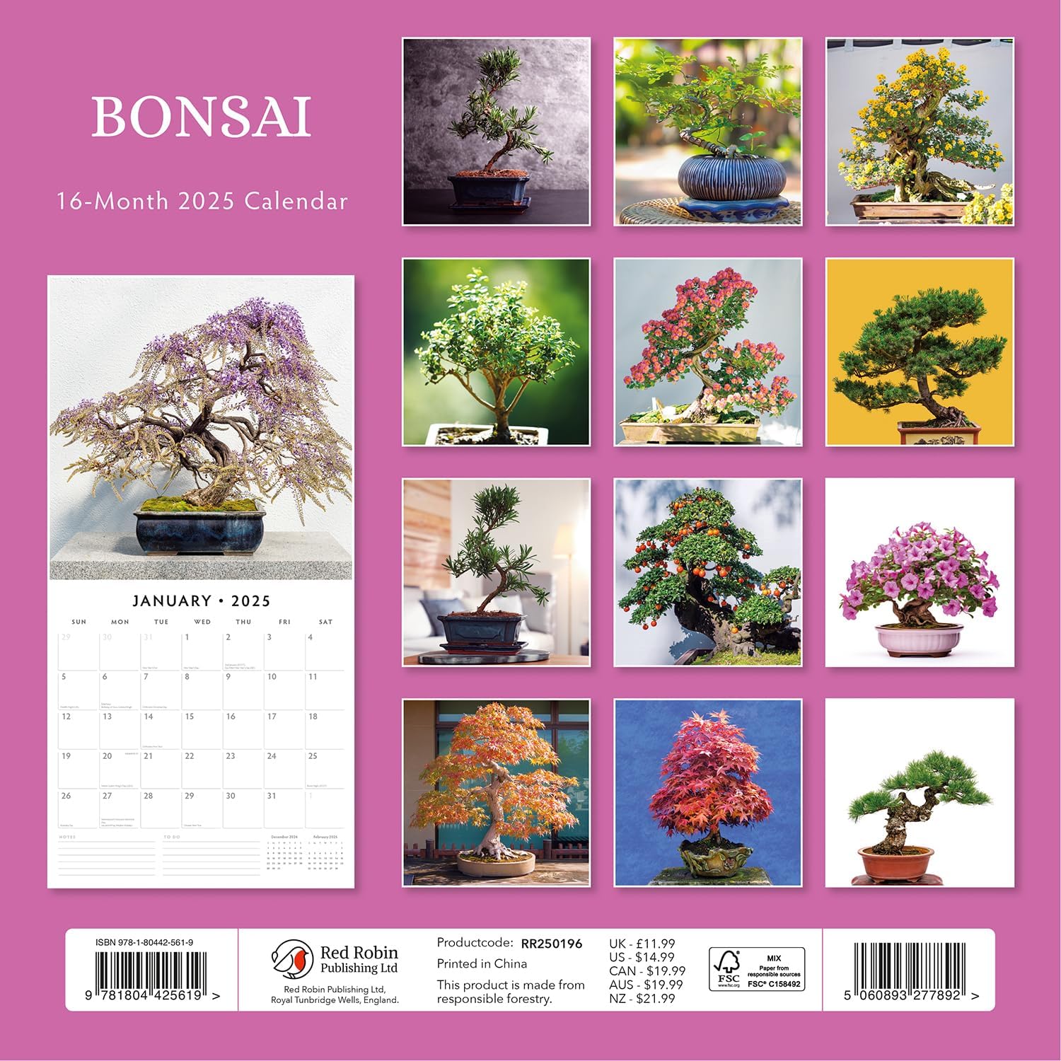 Red Robin 2025 Bonsai Monthly Wall Calendar | 12" x 24" Open | Premium Thick & Sturdy Paper | Hangable 12 Month Calendar | Plastic Free | 4 Month Transition Page for 2024