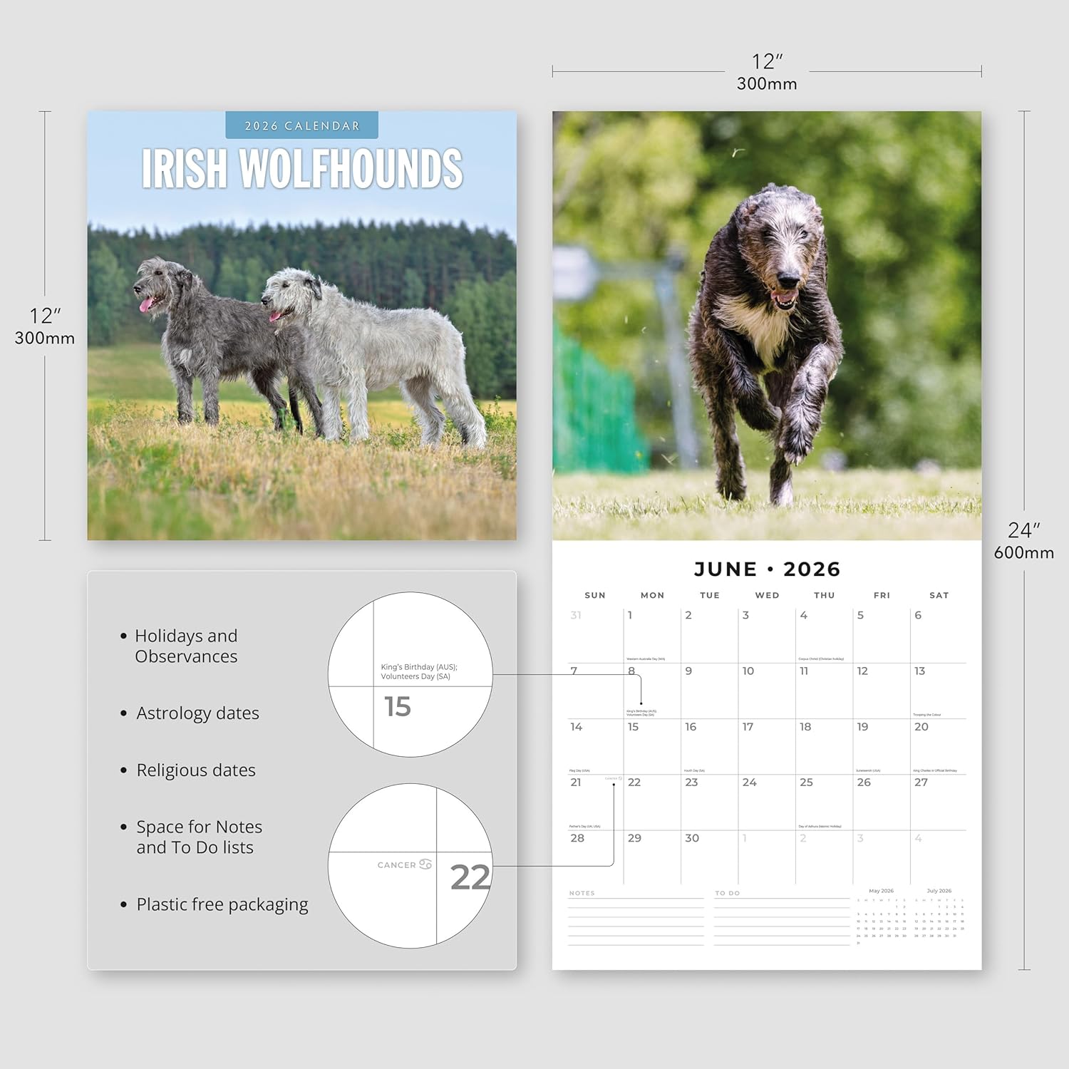 Red Robin 2026 Irish Wolf Hounds Monthly Wall Calendar | 12" x 24" Open | Premium Thick & Sturdy Paper | Hangable 12 Month Calendar | Lined Notes & To Do Area | Vivid Images | Plastic Free