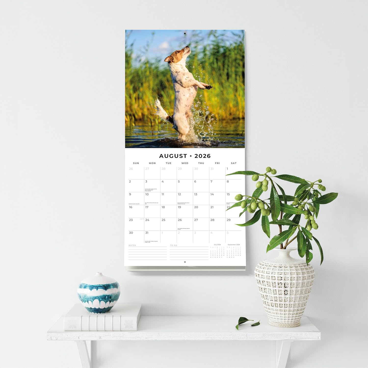 Red Robin 2026 Jack Russells Monthly Wall Calendar | 12" x 24" Open | Premium Thick & Sturdy Paper | Hangable 12 Month Calendar | Lined Notes & To Do Area | Vivid Images | Plastic Free