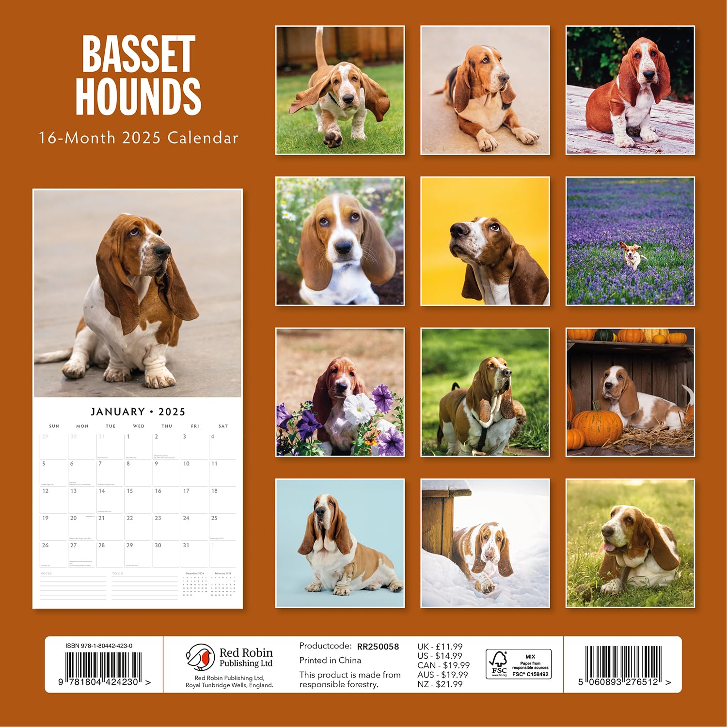 Red Robin 2025 Basset Hounds Monthly Wall Calendar | 12" x 24" Open | Premium Thick & Sturdy Paper | Hangable 12 Month Calendar | Plastic Free | 4 Month Transition Page for 2024