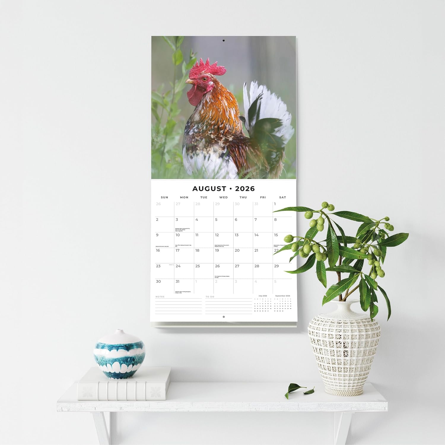 Red Robin 2026 Chickens Monthly Wall Calendar | 12" x 24" Open | Premium Thick & Sturdy Paper | Hangable 12 Month Calendar | Lined Notes & To Do Area | Vivid Images | Plastic Free