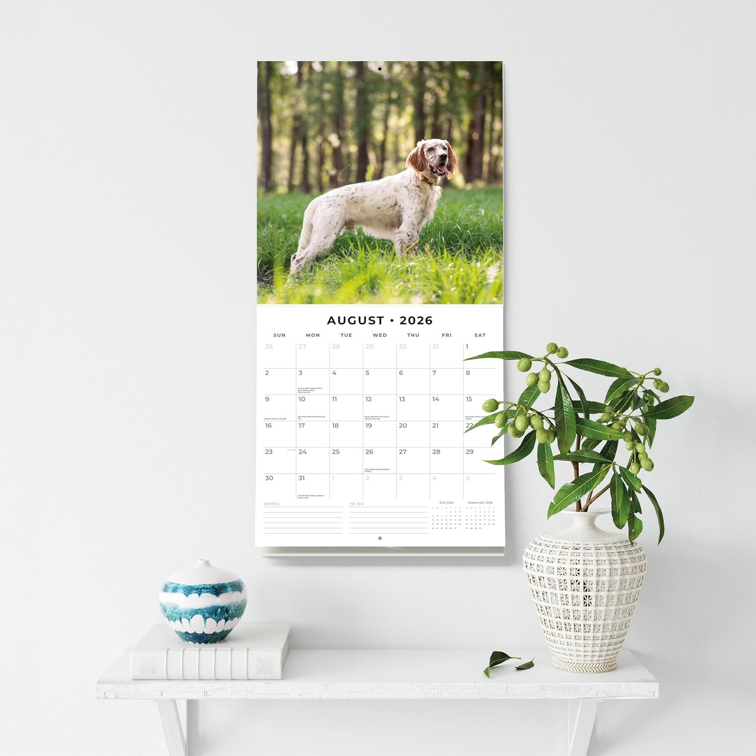 Red Robin 2026 English Setters Monthly Wall Calendar | 12" x 24" Open | Premium Thick & Sturdy Paper | Hangable 12 Month Calendar | Lined Notes & To Do Area | Vivid Images | Plastic Free