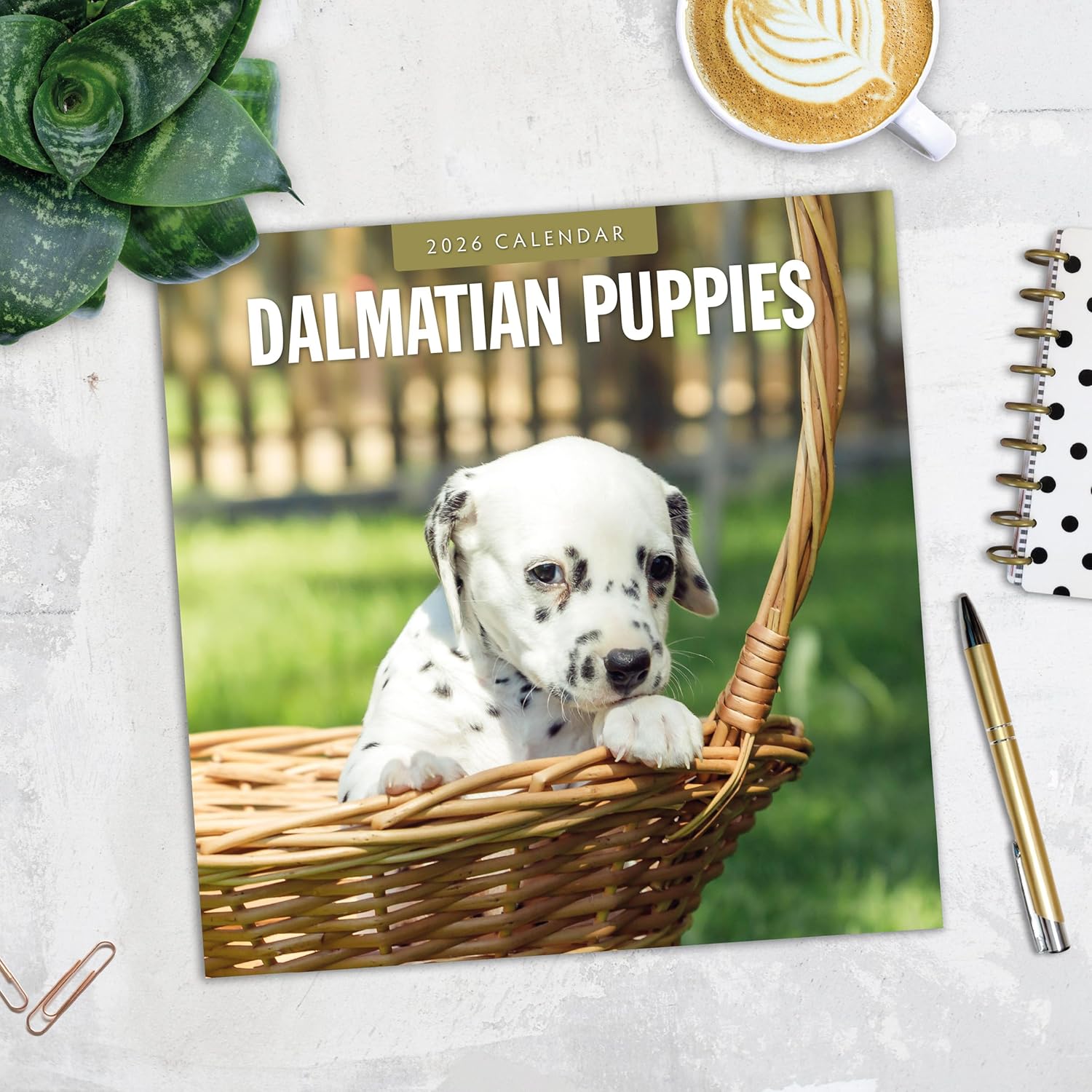 Red Robin 2026 Dalmatian Puppies Monthly Wall Calendar | 12" x 24" Open | Premium Thick & Sturdy Paper | Hangable 12 Month Calendar | Lined Notes & To Do Area | Vivid Images | Plastic Free