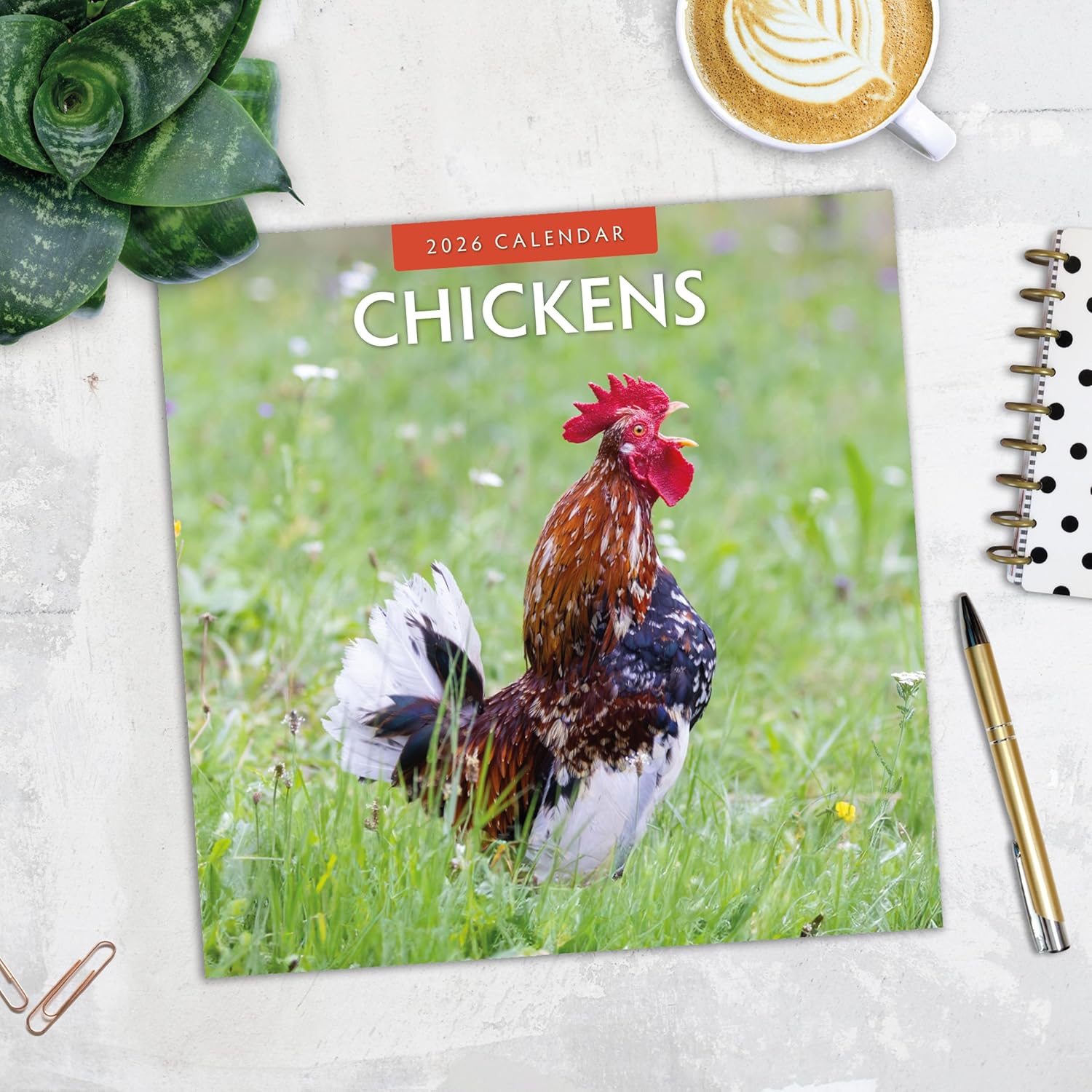 Red Robin 2026 Chickens Monthly Wall Calendar | 12" x 24" Open | Premium Thick & Sturdy Paper | Hangable 12 Month Calendar | Lined Notes & To Do Area | Vivid Images | Plastic Free