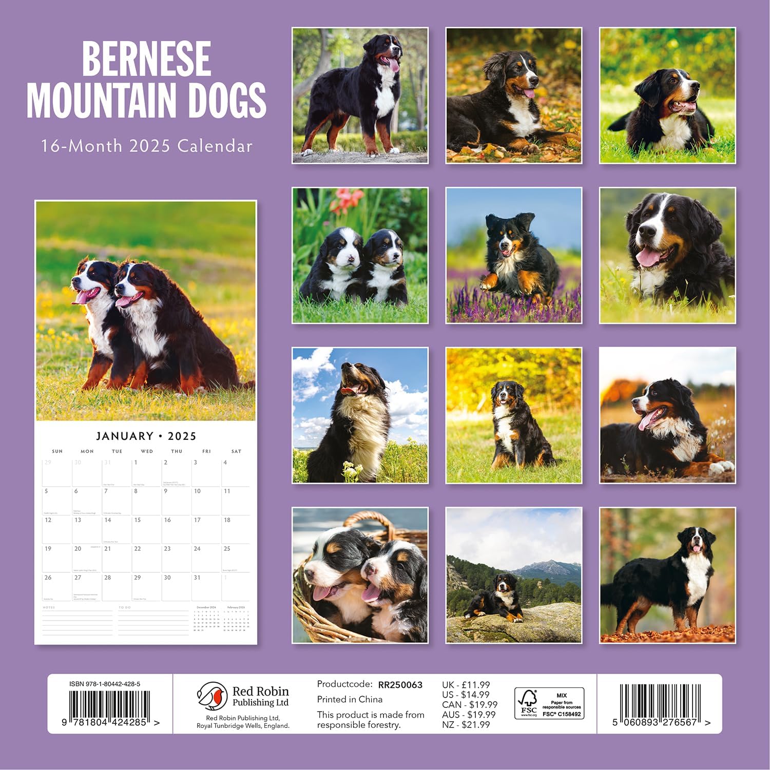 Red Robin 2025 Bernese Mountain Dogs Monthly Wall Calendar | 12" x 24" Open | Premium Thick & Sturdy Paper | Hangable 12 Month Calendar | Plastic Free | 4 Month Transition Page for 2024