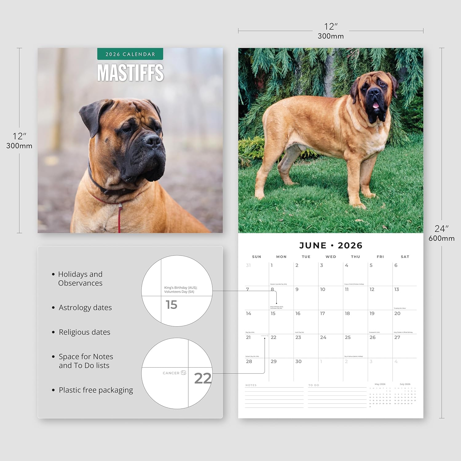Red Robin 2026 Mastiffs Monthly Wall Calendar | 12" x 24" Open | Premium Thick & Sturdy Paper | Hangable 12 Month Calendar | Lined Notes & To Do Area | Vivid Images | Plastic Free