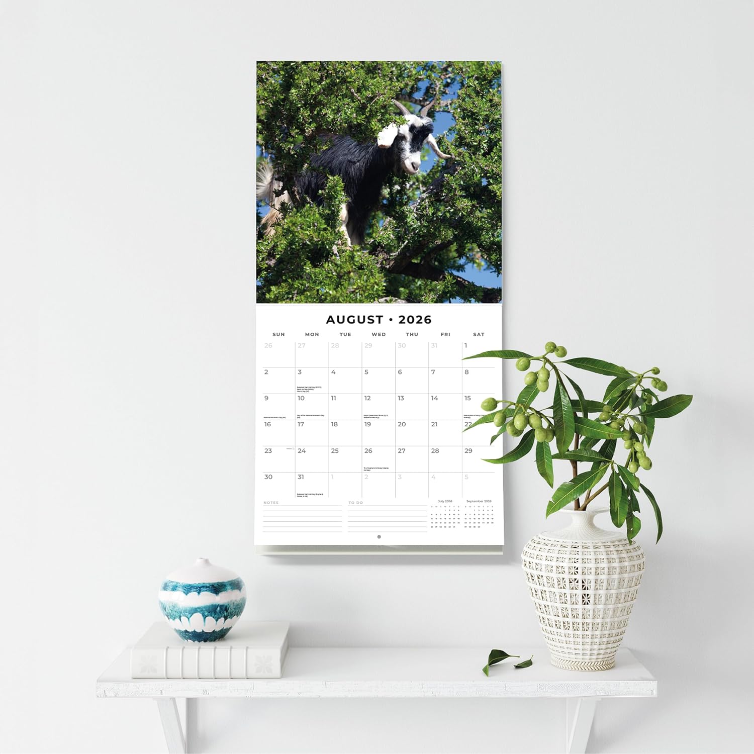 Red Robin 2026 Goats in Trees Monthly Wall Calendar | 12" x 24" Open | Premium Thick & Sturdy Paper | Hangable 12 Month Calendar | Lined Notes & To Do Area | Vivid Images | Plastic Free