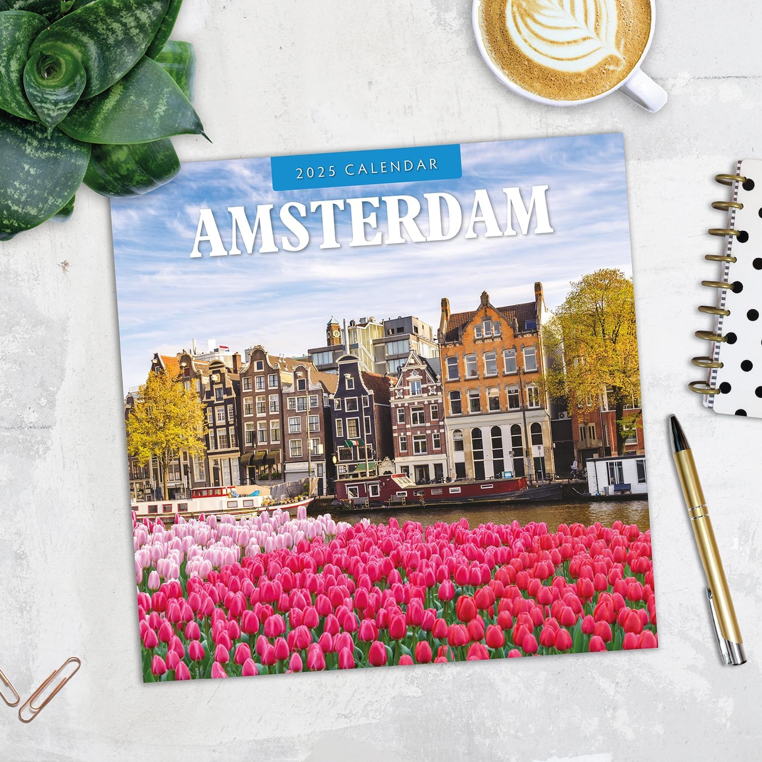 Red Robin 2025 Amsterdam Monthly Wall Calendar | 12" x 24" Open | Premium Thick & Sturdy Paper | Hangable 12 Month Calendar | Plastic Free | 4 Month Transition Page for 2024