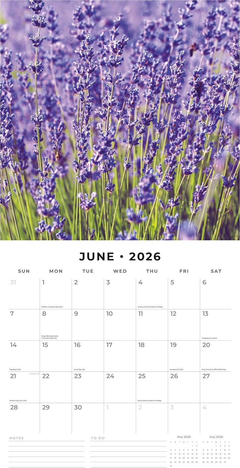 Red Robin 2026 Lavender Monthly Wall Calendar | 12" x 24" Open | Premium Thick & Sturdy Paper | Hangable 12 Month Calendar | Lined Notes & To Do Area | Vivid Images | Plastic Free