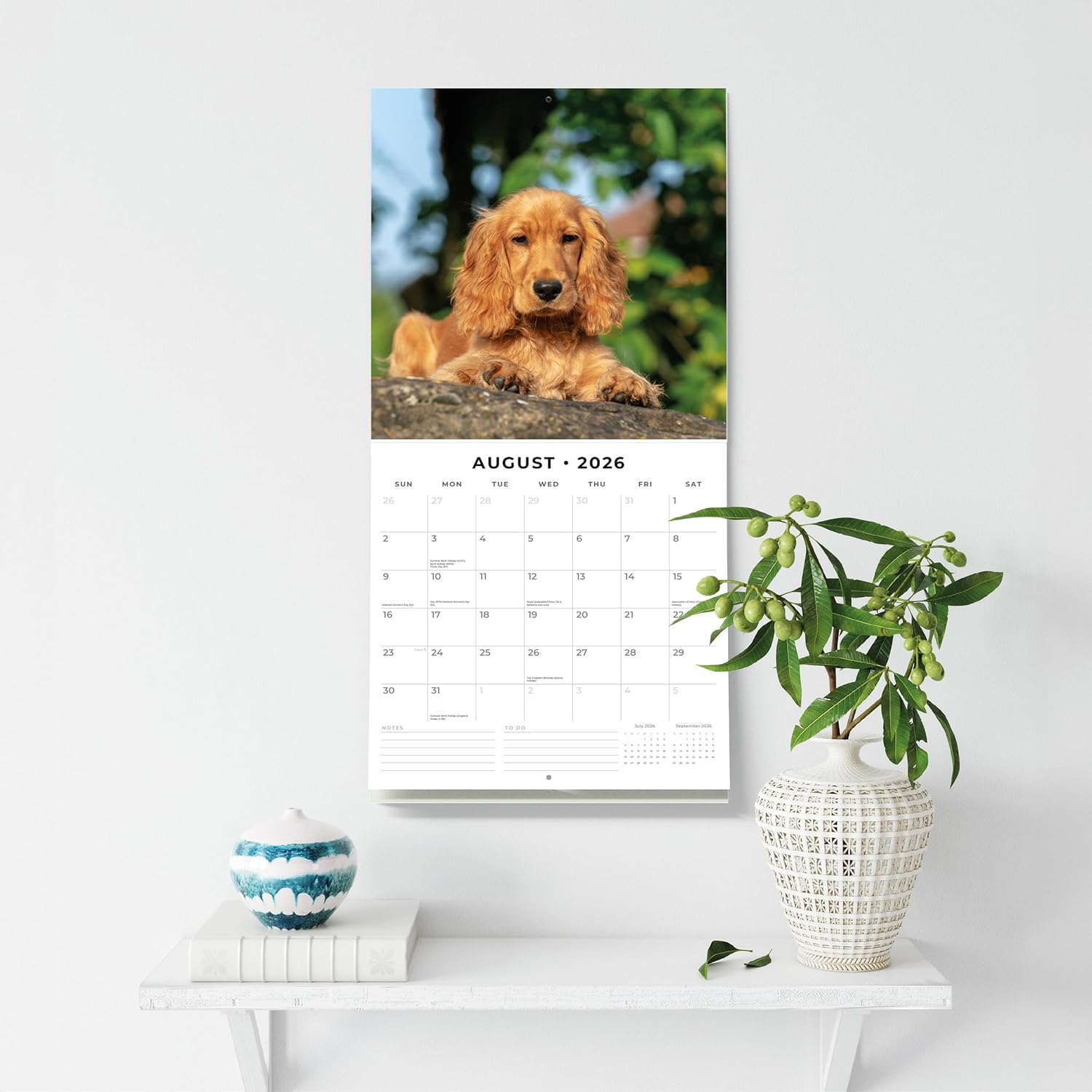 Red Robin 2026 Cocker Spaniels Monthly Wall Calendar | 12" x 24" Open | Premium Thick & Sturdy Paper | Hangable 12 Month Calendar | Lined Notes & To Do Area | Vivid Images | Plastic Free