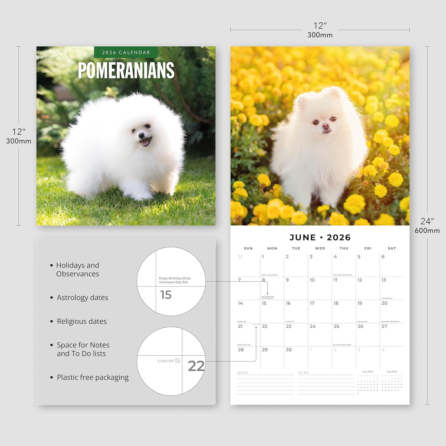 Red Robin 2026 Pomeranians Monthly Wall Calendar | 12" x 24" Open | Premium Thick & Sturdy Paper | Hangable 12 Month Calendar | Lined Notes & To Do Area | Vivid Images | Plastic Free