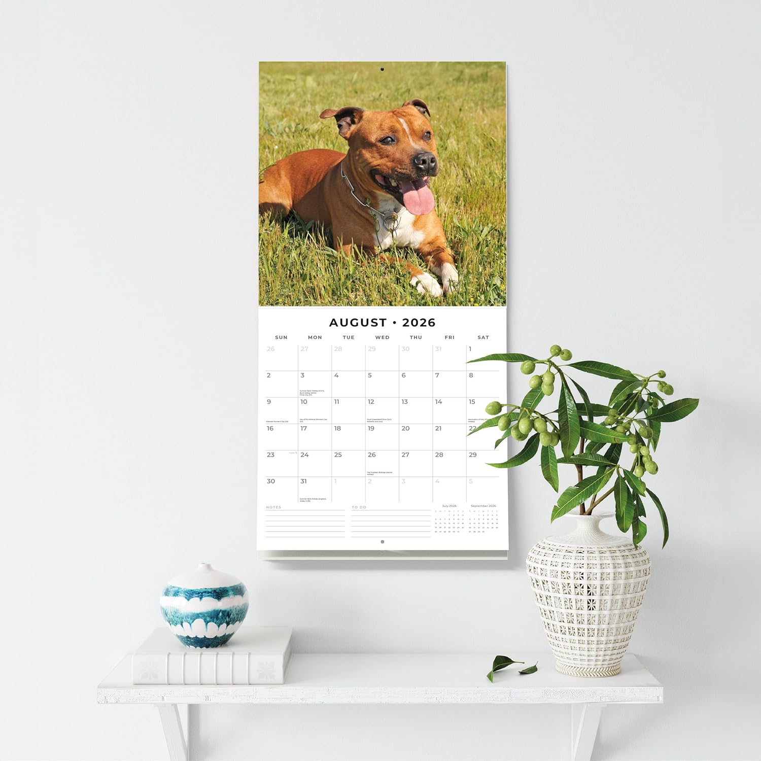 Red Robin 2026 Staffordshire Bull Terriers Monthly Wall Calendar | 12" x 24" Open | Premium Thick & Sturdy Paper | Hangable 12 Month Calendar | Lined Notes & To Do Area | Vivid Images | Plastic Free