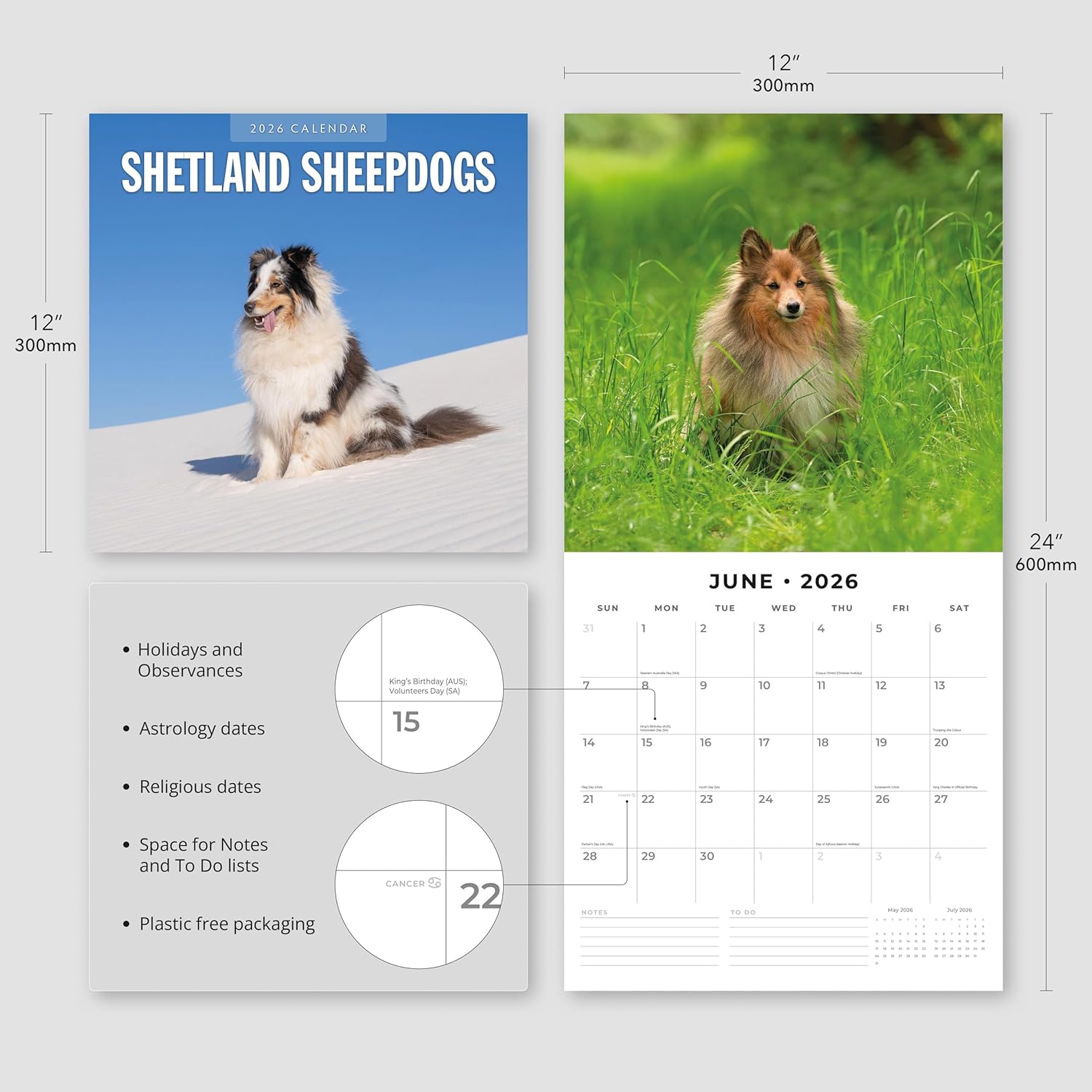 Red Robin 2026 Shetland Sheepdogs Monthly Wall Calendar | 12" x 24" Open | Premium Thick & Sturdy Paper | Hangable 12 Month Calendar | Lined Notes & To Do Area | Vivid Images | Plastic Free
