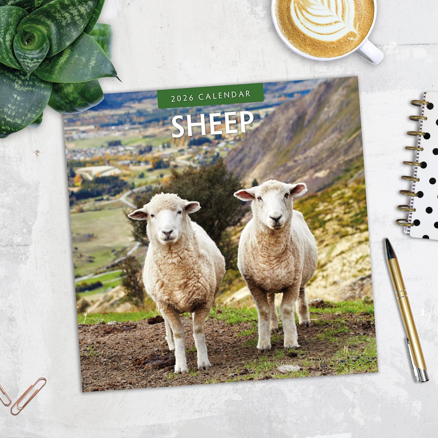 Red Robin 2026 Sheep Monthly Wall Calendar | 12" x 24" Open | Premium Thick & Sturdy Paper | Hangable 12 Month Calendar | Lined Notes & To Do Area | Vivid Images | Plastic Free