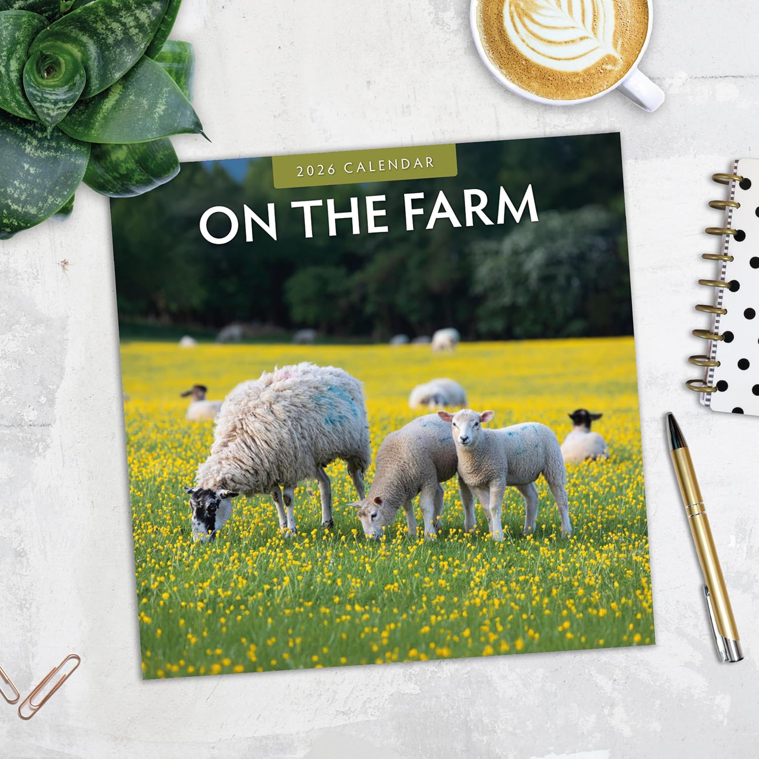 Red Robin 2026 On The Farm Monthly Wall Calendar | 12" x 24" Open | Premium Thick & Sturdy Paper | Hangable 12 Month Calendar | Lined Notes & To Do Area | Vivid Images | Plastic Free