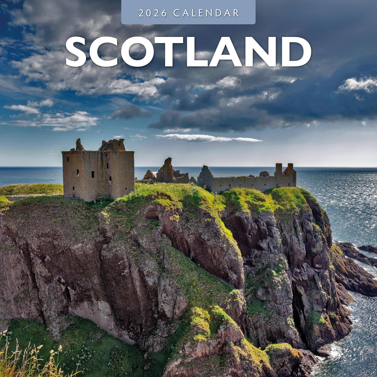 Red Robin 2026 Scotland Monthly Wall Calendar | 12" x 24" Open | Premium Thick & Sturdy Paper | Hangable 12 Month Calendar | Lined Notes & To Do Area | Vivid Images | Plastic Free