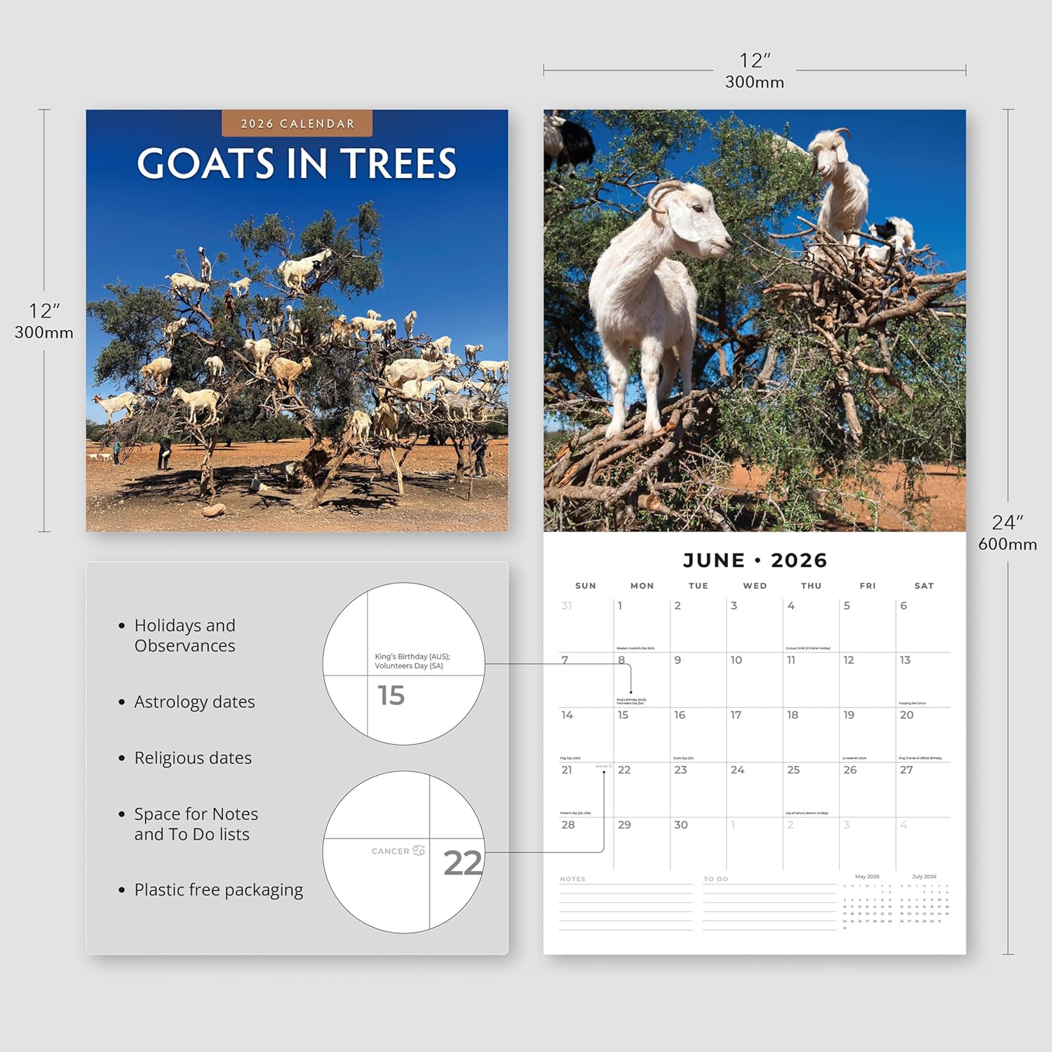 Red Robin 2026 Goats in Trees Monthly Wall Calendar | 12" x 24" Open | Premium Thick & Sturdy Paper | Hangable 12 Month Calendar | Lined Notes & To Do Area | Vivid Images | Plastic Free