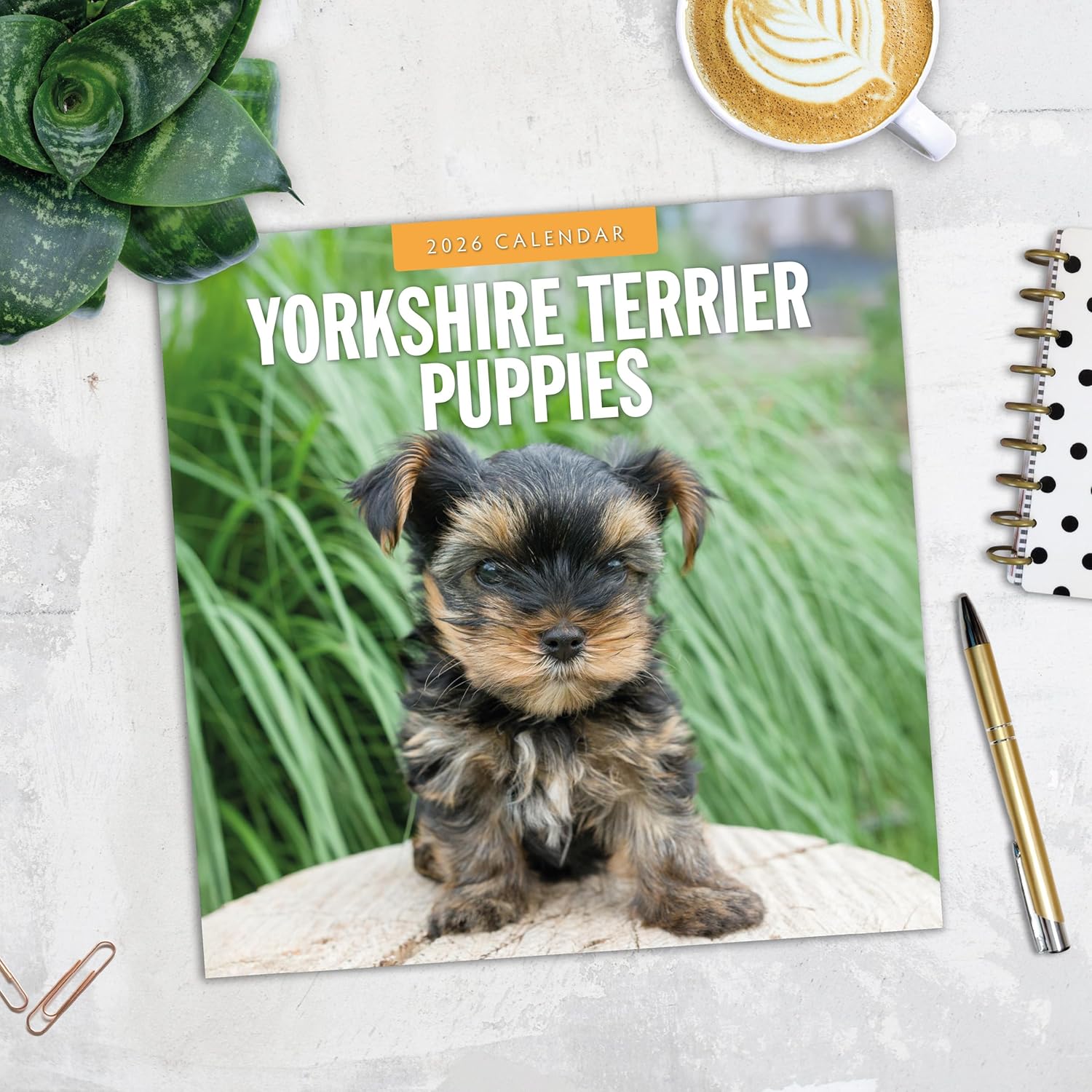 Red Robin 2026 Yorkshire Terrier Puppies Monthly Wall Calendar | 12" x 24" Open | Premium Thick & Sturdy Paper | Hangable 12 Month Calendar | Lined Notes & To Do Area | Vivid Images | Plastic Free