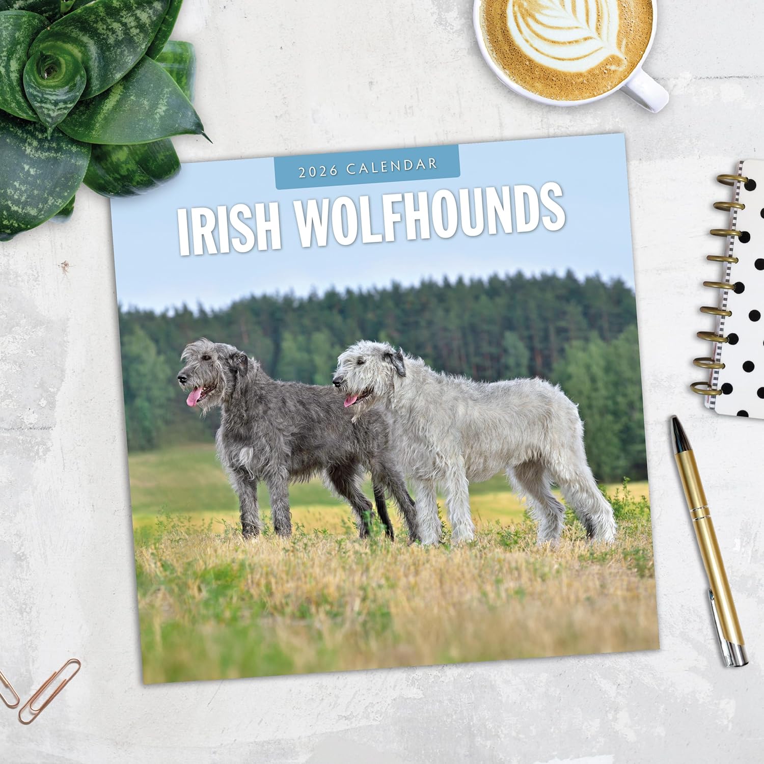 Red Robin 2026 Irish Wolf Hounds Monthly Wall Calendar | 12" x 24" Open | Premium Thick & Sturdy Paper | Hangable 12 Month Calendar | Lined Notes & To Do Area | Vivid Images | Plastic Free