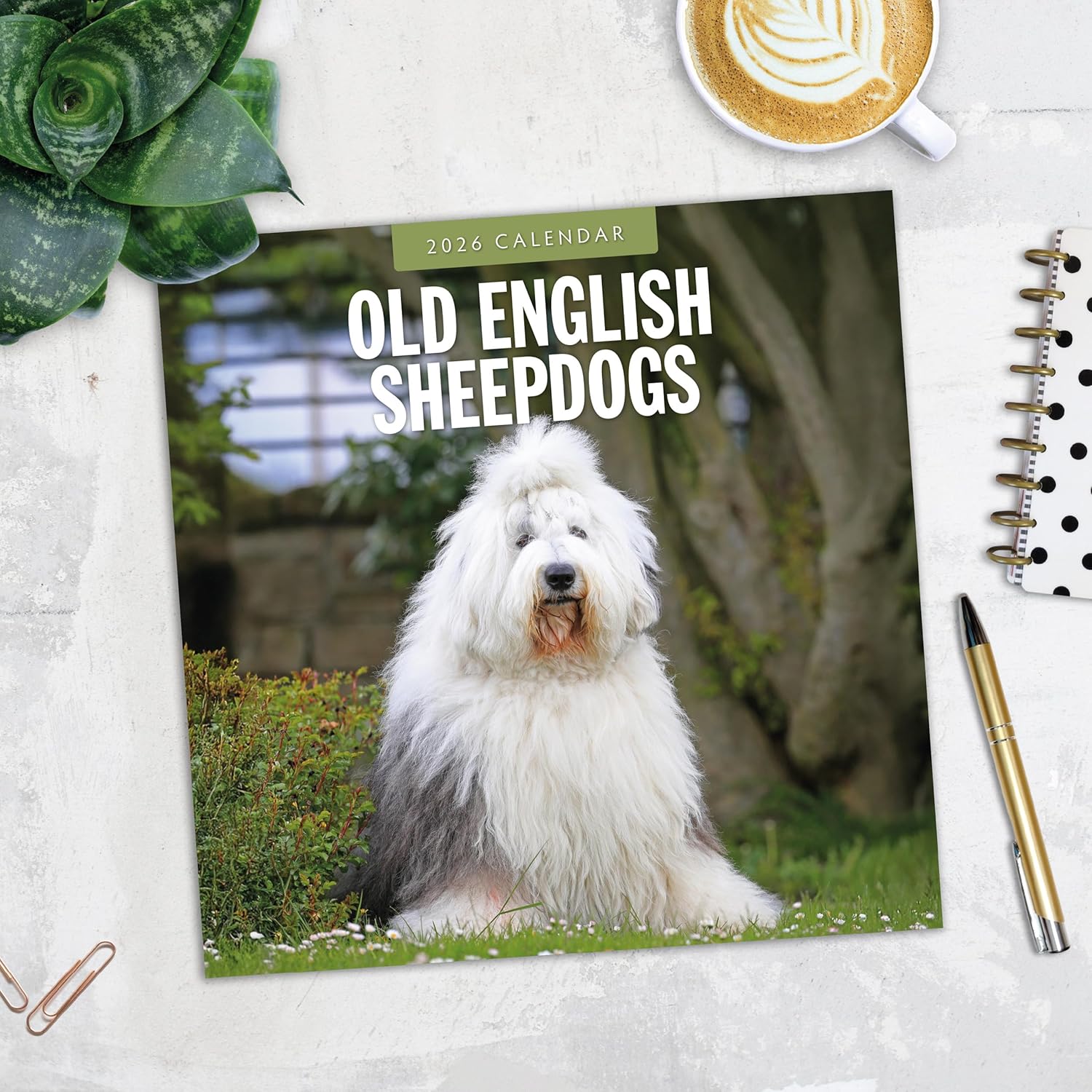 Red Robin 2026 Old English Sheepdogs Monthly Wall Calendar | 12" x 24" Open | Premium Thick & Sturdy Paper | Hangable 12 Month Calendar | Lined Notes & To Do Area | Vivid Images | Plastic Free