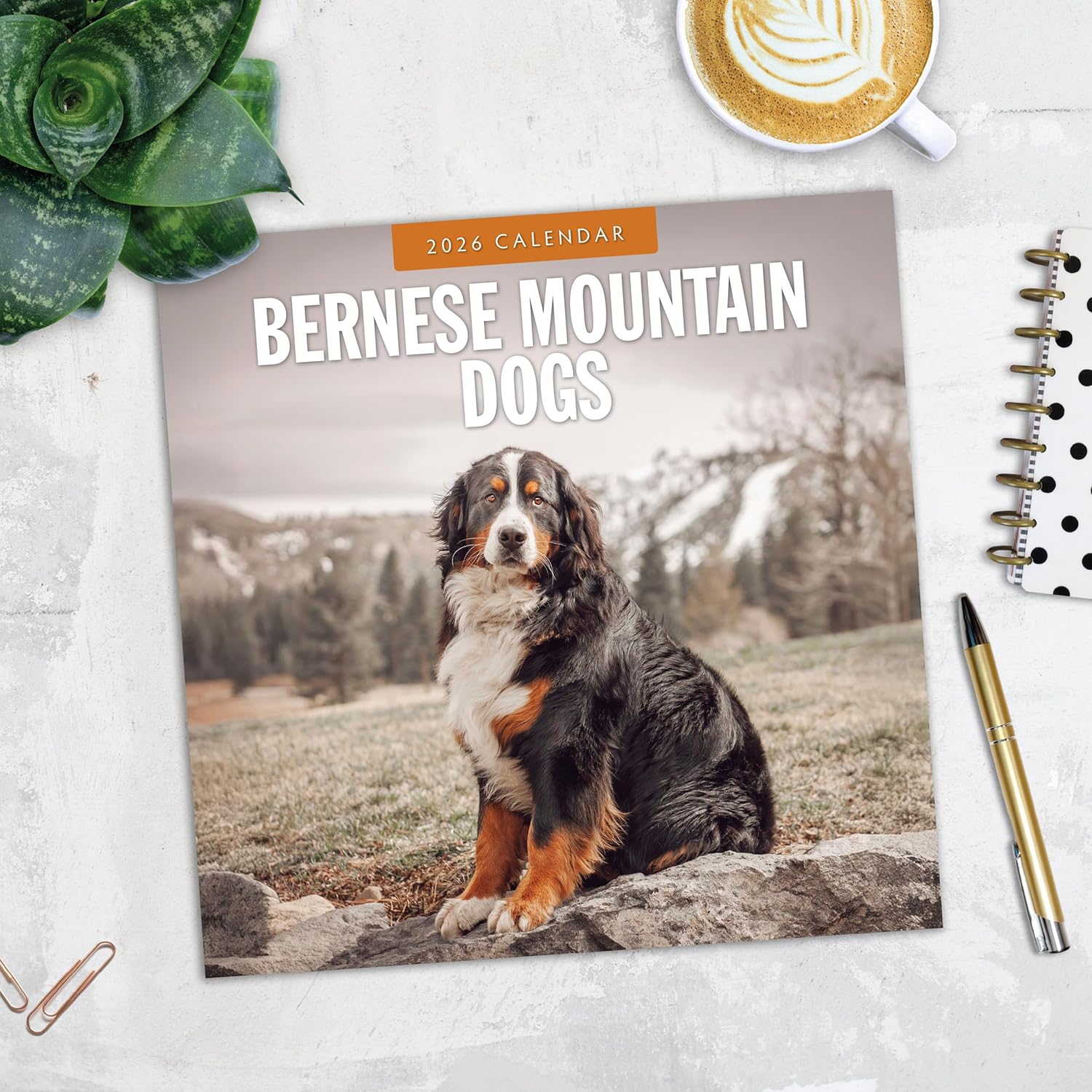 Red Robin 2026 Bernese Mountain Dogs Monthly Wall Calendar | 12" x 24" Open | Premium Thick & Sturdy Paper | Hangable 12 Month Calendar | Lined Notes & To Do Area | Vivid Images | Plastic Free