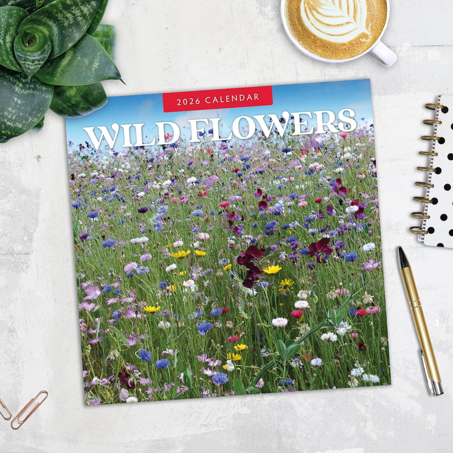 Red Robin 2026 Wild Flowers Monthly Wall Calendar | 12" x 24" Open | Premium Thick & Sturdy Paper | Hangable 12 Month Calendar | Lined Notes & To Do Area | Vivid Images | Plastic Free