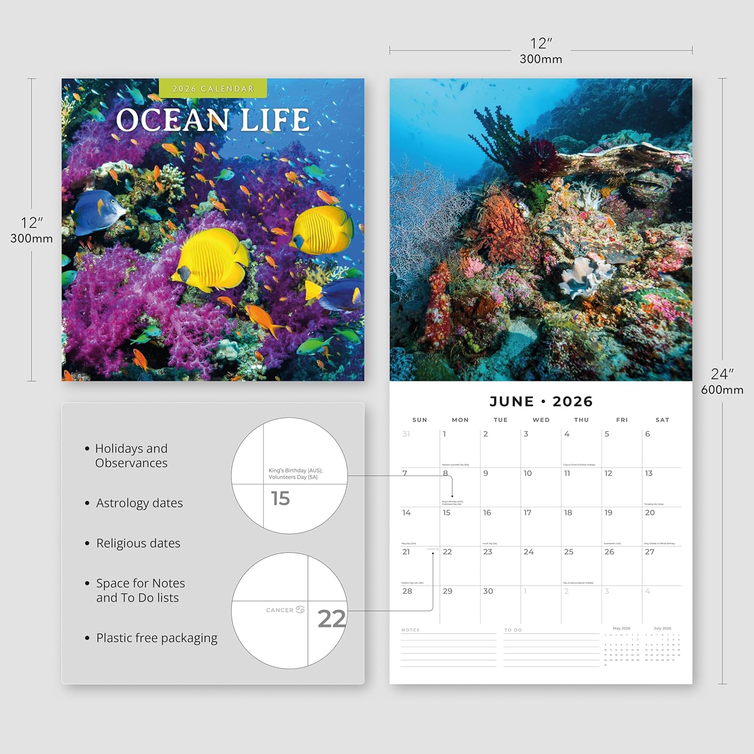 Red Robin 2026 Ocean Life Monthly Wall Calendar | 12" x 24" Open | Premium Thick & Sturdy Paper | Hangable 12 Month Calendar | Lined Notes & To Do Area | Vivid Images | Plastic Free