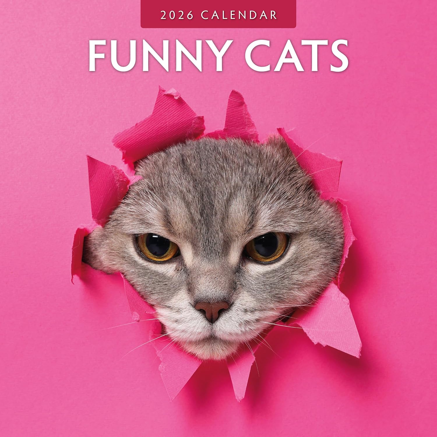 Red Robin 2026 Funny Cats Monthly Wall Calendar | 12" x 24" Open | Premium Thick & Sturdy Paper | Hangable 12 Month Calendar | Lined Notes & To Do Area | Vivid Images | Plastic Free