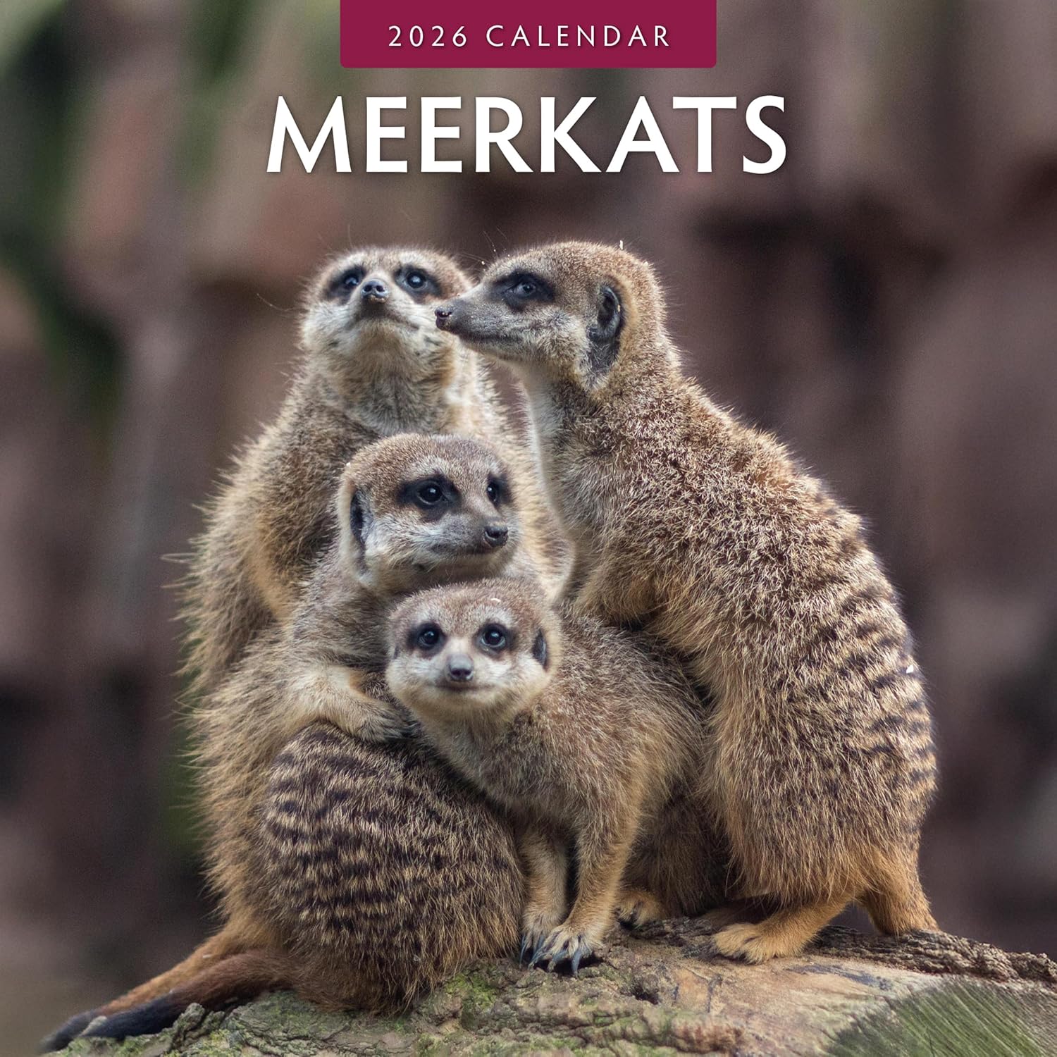 Red Robin 2026 Meerkats Monthly Wall Calendar | 12" x 24" Open | Premium Thick & Sturdy Paper | Hangable 12 Month Calendar | Lined Notes & To Do Area | Vivid Images | Plastic Free