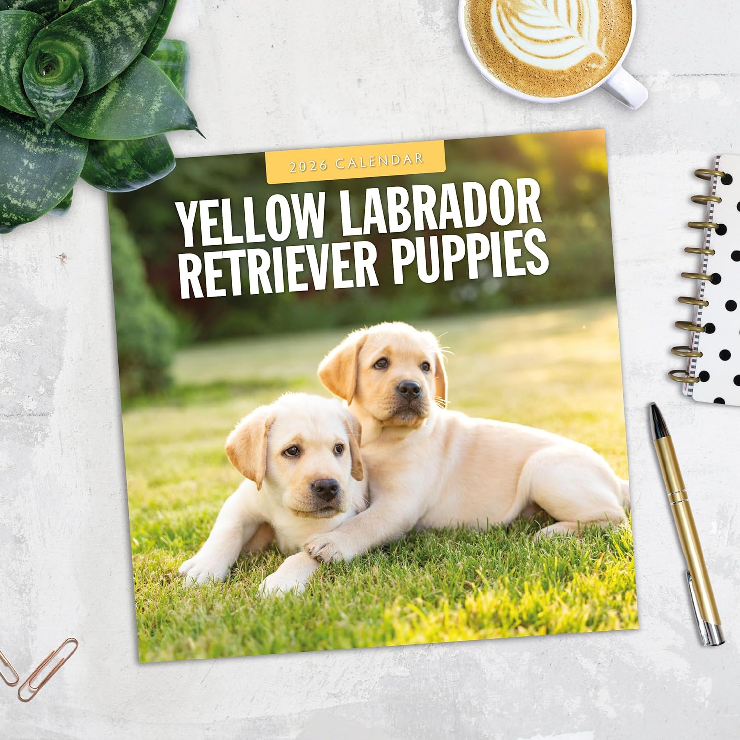 Red Robin 2026 Yellow Labradors Monthly Wall Calendar | 12" x 24" Open | Premium Thick & Sturdy Paper | Hangable 12 Month Calendar | Lined Notes & To Do Area | Vivid Images | Plastic Free