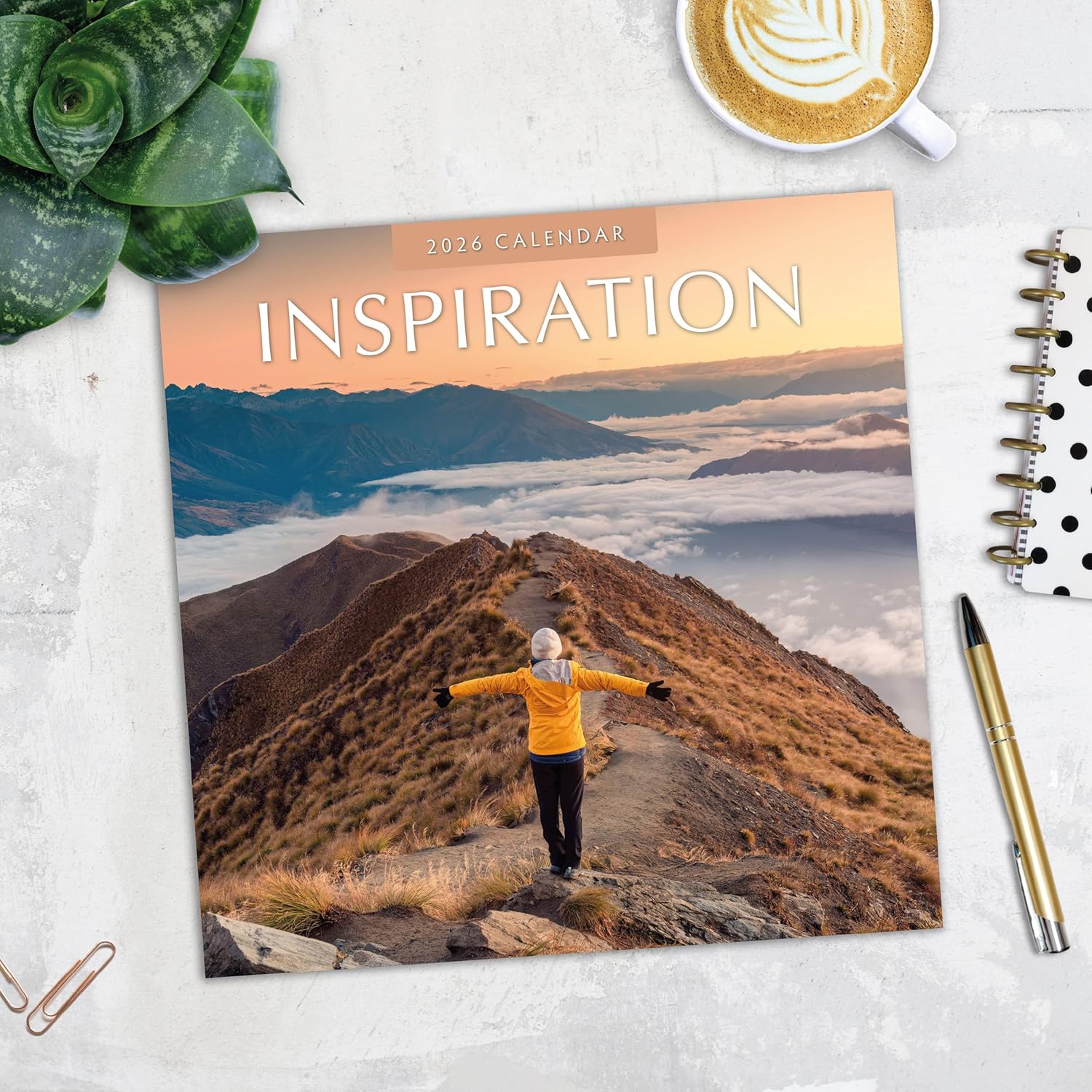 Red Robin 2026 Inspiration Monthly Wall Calendar | 12" x 24" Open | Premium Thick & Sturdy Paper | Hangable 12 Month Calendar | Lined Notes & To Do Area | Vivid Images | Plastic Free