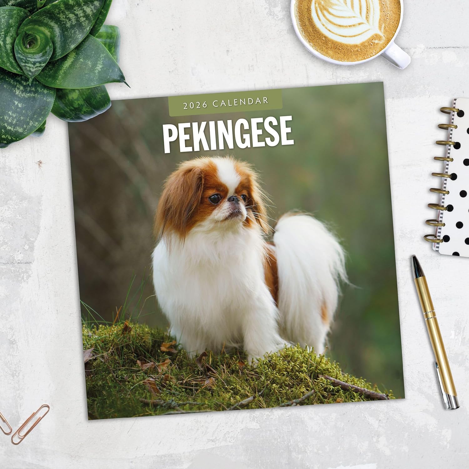 Red Robin 2026 Pekingese Monthly Wall Calendar | 12" x 24" Open | Premium Thick & Sturdy Paper | Hangable 12 Month Calendar | Lined Notes & To Do Area | Vivid Images | Plastic Free