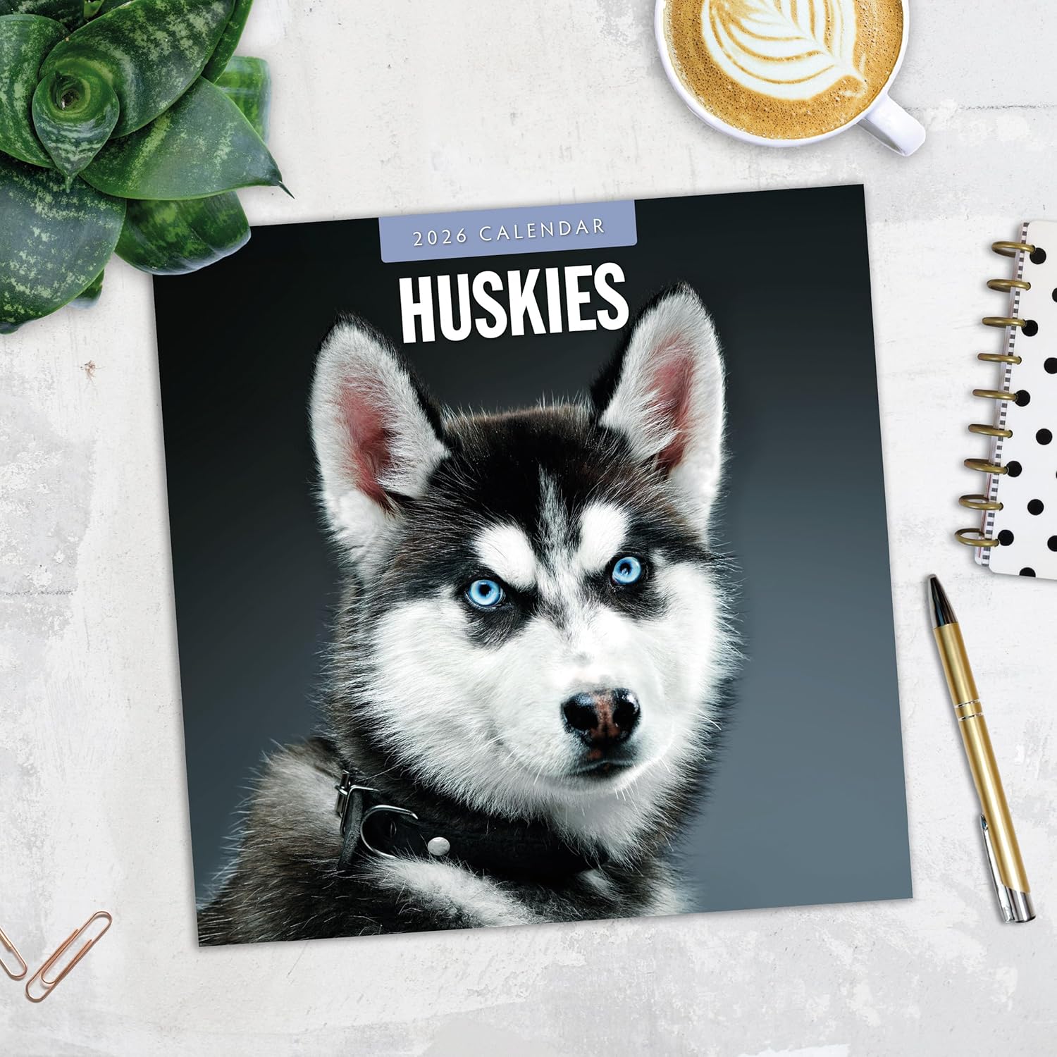 Red Robin 2026 Huskies Monthly Wall Calendar | 12" x 24" Open | Premium Thick & Sturdy Paper | Hangable 12 Month Calendar | Lined Notes & To Do Area | Vivid Images | Plastic Free