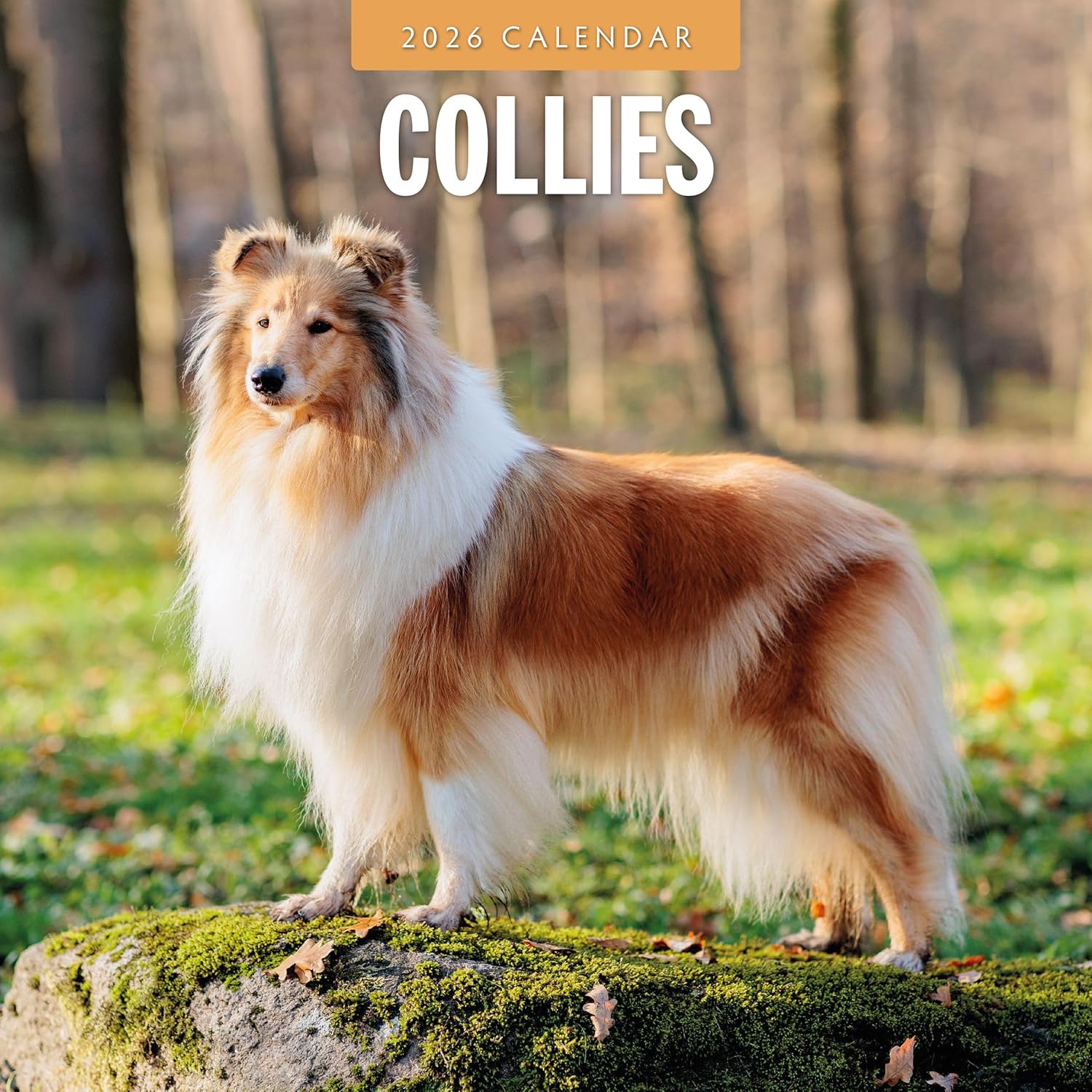 Red Robin 2026 Collies Monthly Wall Calendar | 12" x 24" Open | Premium Thick & Sturdy Paper | Hangable 12 Month Calendar | Lined Notes & To Do Area | Vivid Images | Plastic Free