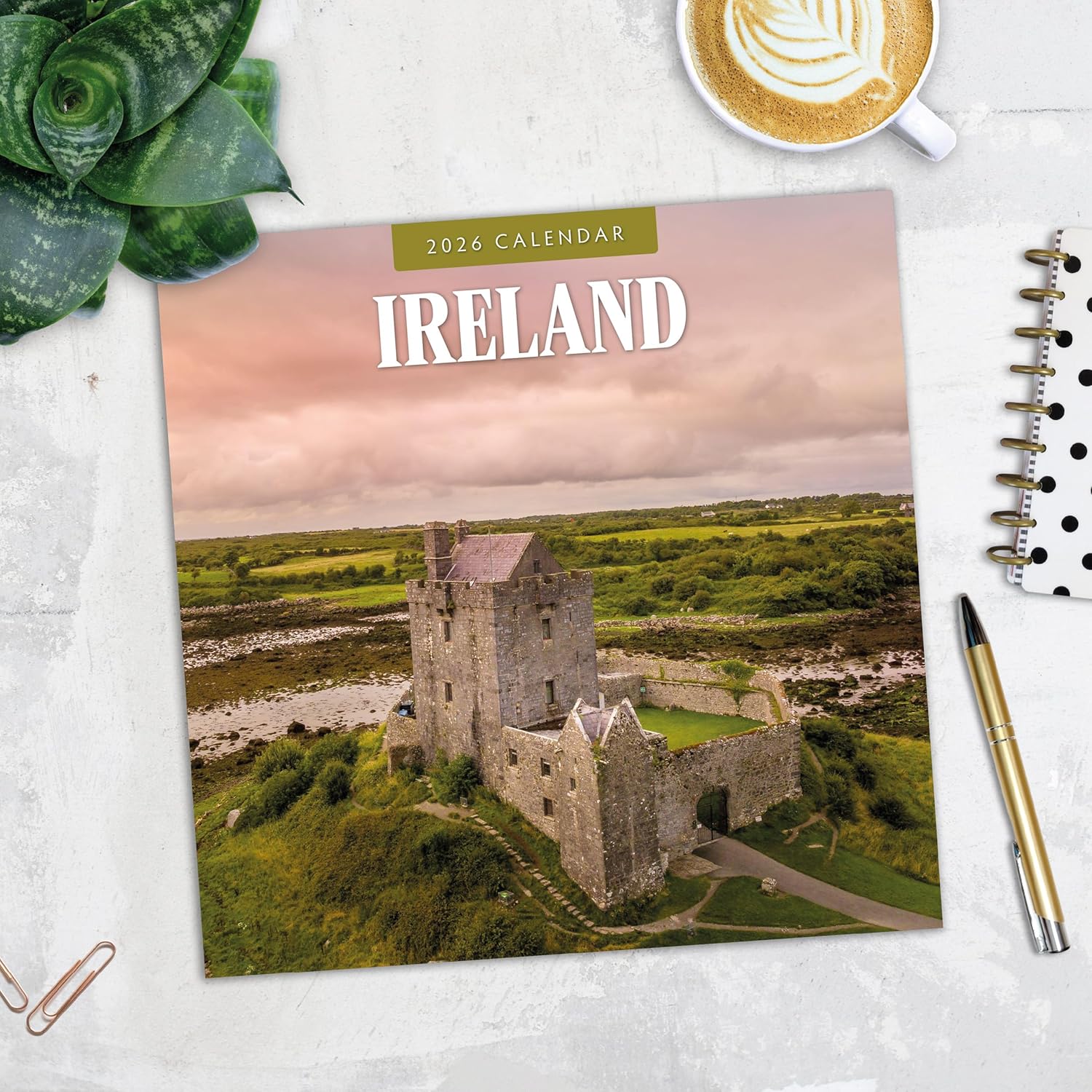 Red Robin 2026 Ireland Monthly Wall Calendar | 12" x 24" Open | Premium Thick & Sturdy Paper | Hangable 12 Month Calendar | Lined Notes & To Do Area | Vivid Images | Plastic Free