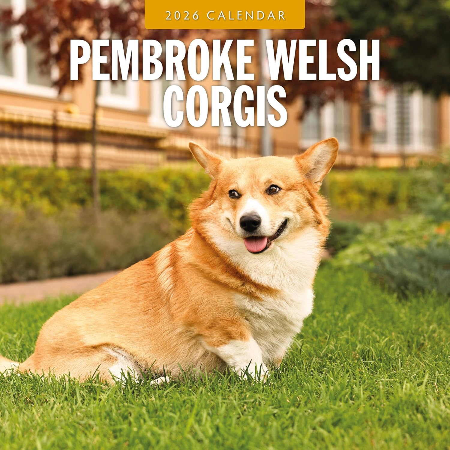 Red Robin 2026 Pembroke Welsh Corgis Monthly Wall Calendar | 12" x 24" Open | Premium Thick & Sturdy Paper | Hangable 12 Month Calendar | Lined Notes & To Do Area | Vivid Images | Plastic Free