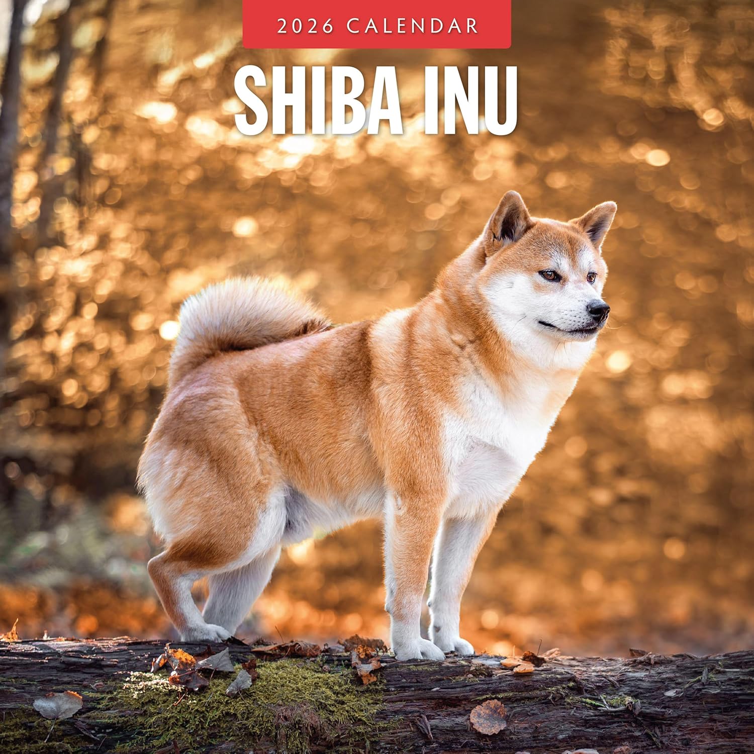 Red Robin 2026 Shiba Inu Monthly Wall Calendar | 12" x 24" Open | Premium Thick & Sturdy Paper | Hangable 12 Month Calendar | Lined Notes & To Do Area | Vivid Images | Plastic Free
